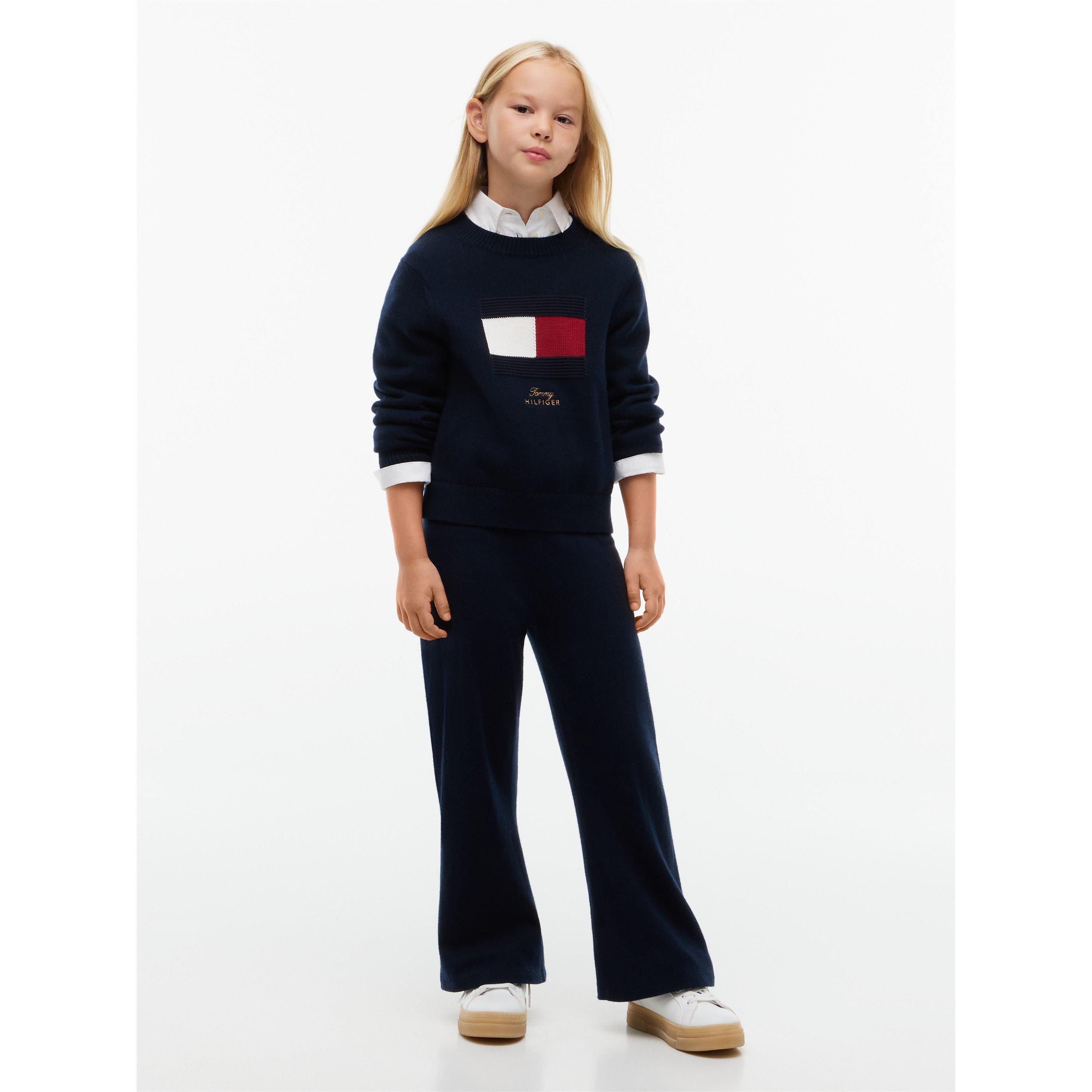 Dark Blue C1G - Tommy Hilfiger - Kids' Flag Cotton Long-Sleeve Crew-Neck Jumper - 4