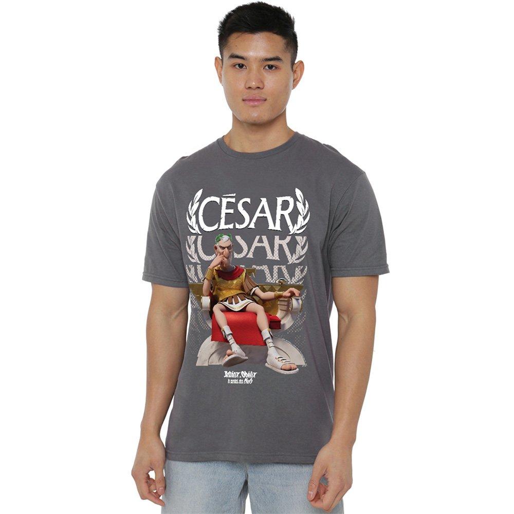Grey - Other - Asterix & Obelix - Cesar Of Rome T-Shirt Light Gr - 1