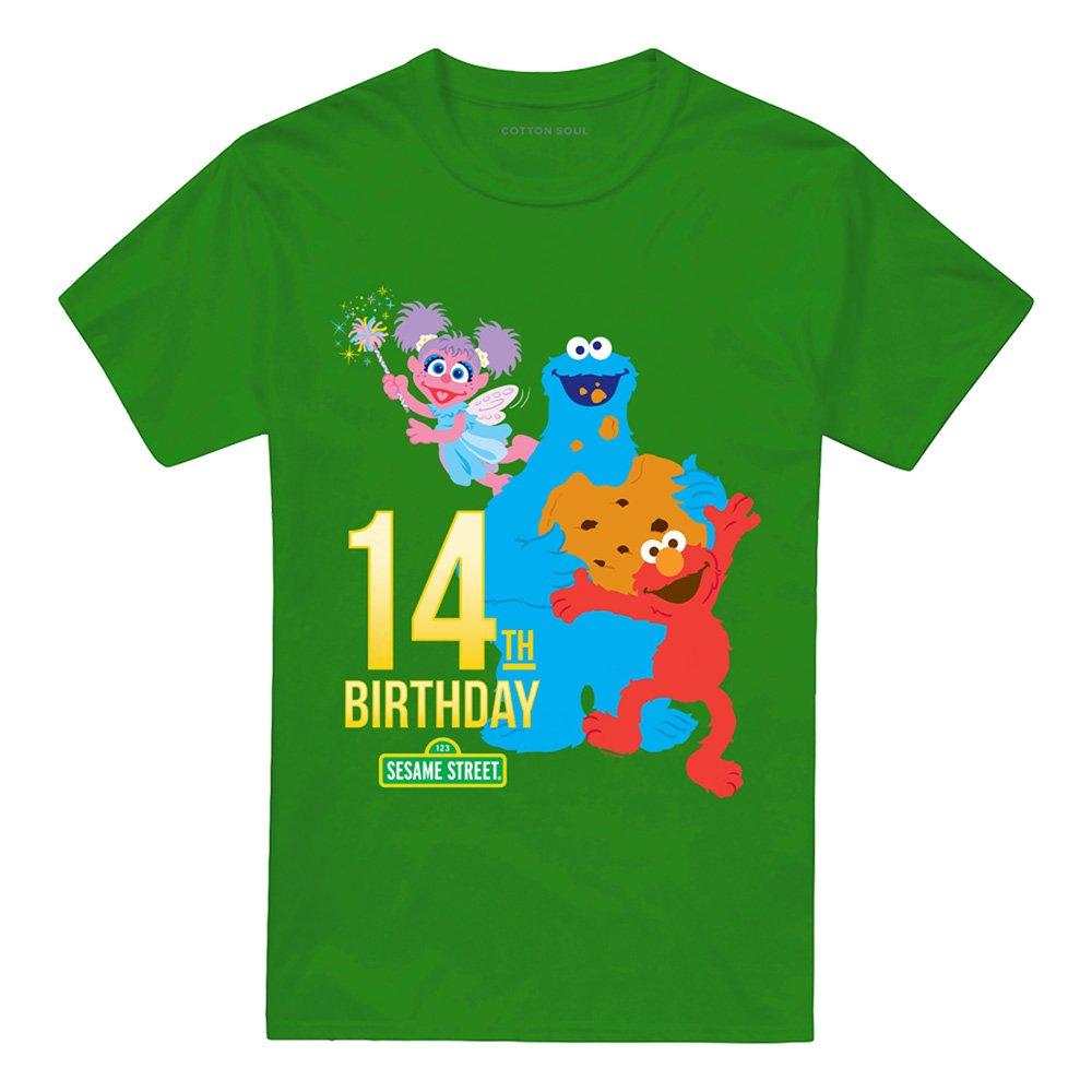 Green - Sesame Street - Sesame Street 14Th Birthday T Shirt Kelly Green - 4