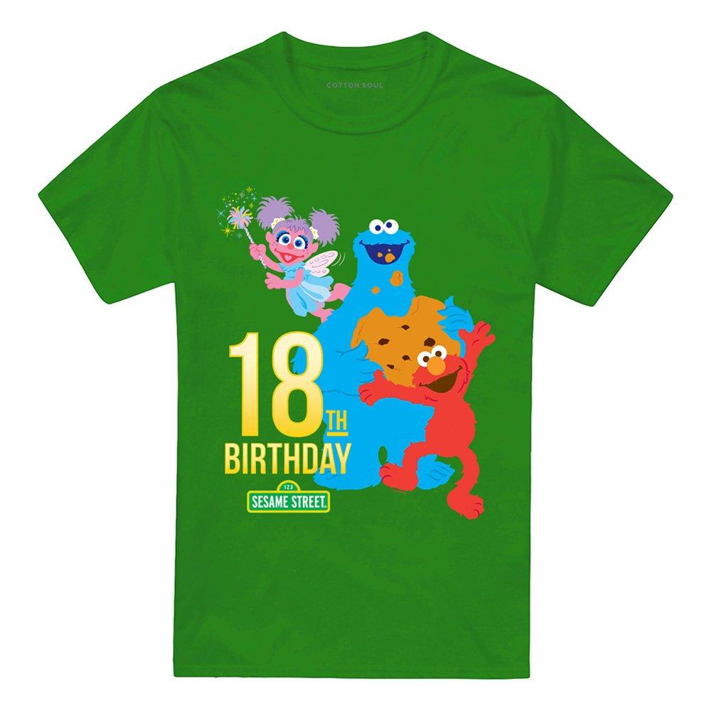 Green - Sesame Street - Sesame Street 18Th Birthday T Shirt Kelly Green - 4