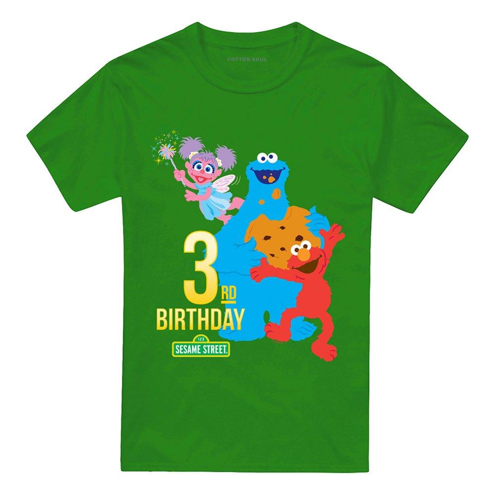 Green - Sesame Street - Sesame Street 3Rd Birthday T Shirt Kelly Green - 4