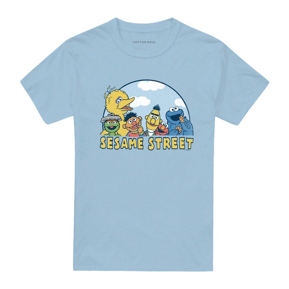 Blue - Sesame Street - Sesame Street Sesame Group T Shirt Light Blue - 4