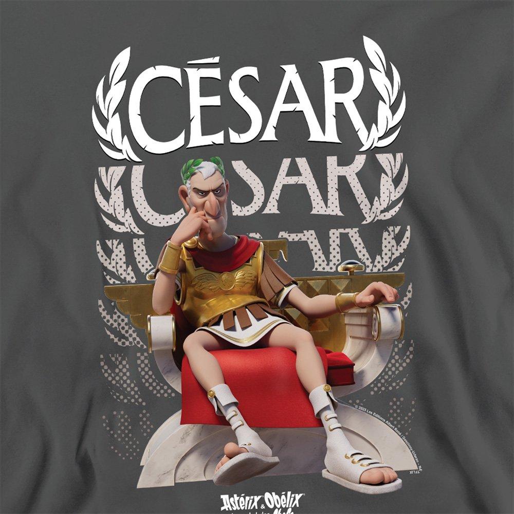 Grey - Other - Asterix & Obelix - Cesar Of Rome Sweatshirt Light - 2