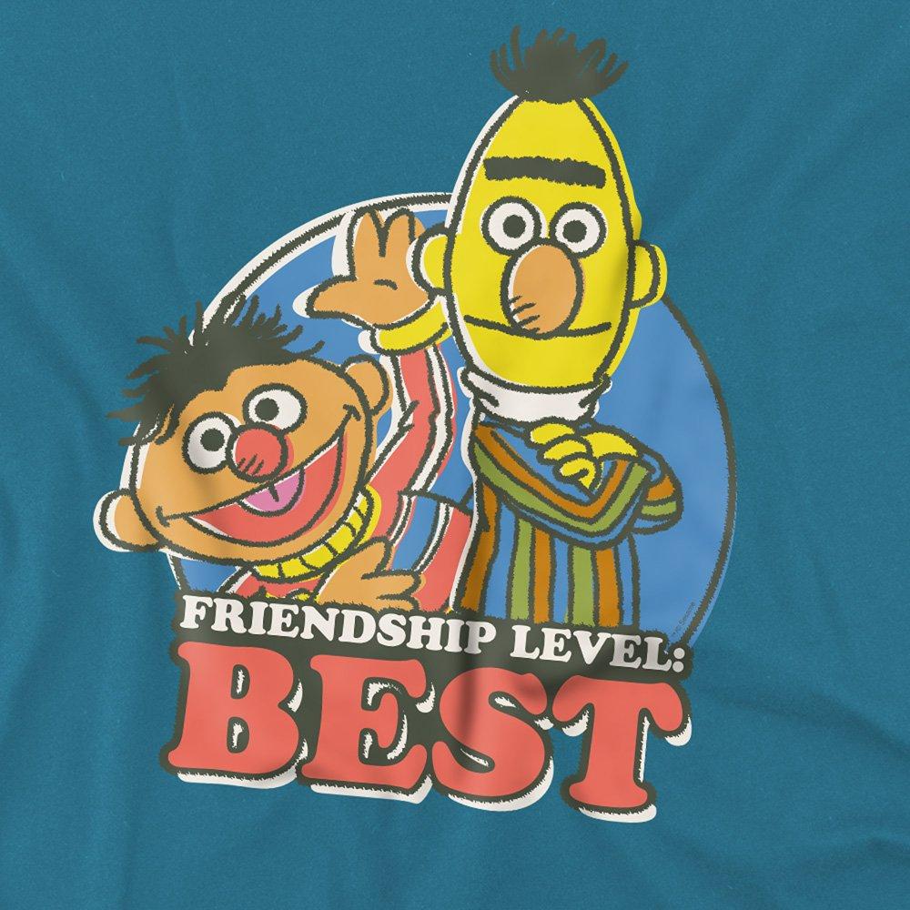 Grey - Sesame Street - Sesame Street Bert & Ernie Friendship Level: Best - 2