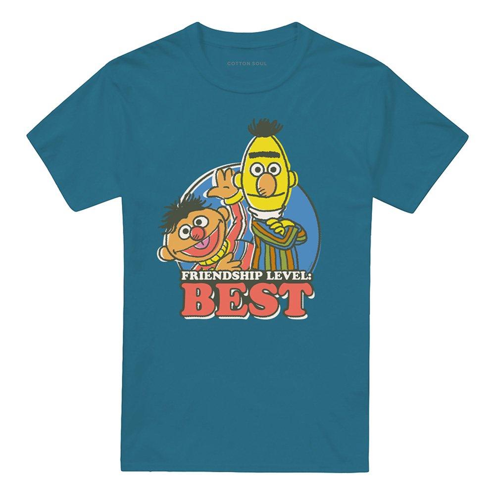 Grey - Sesame Street - Sesame Street Bert & Ernie Friendship Level: Best - 4