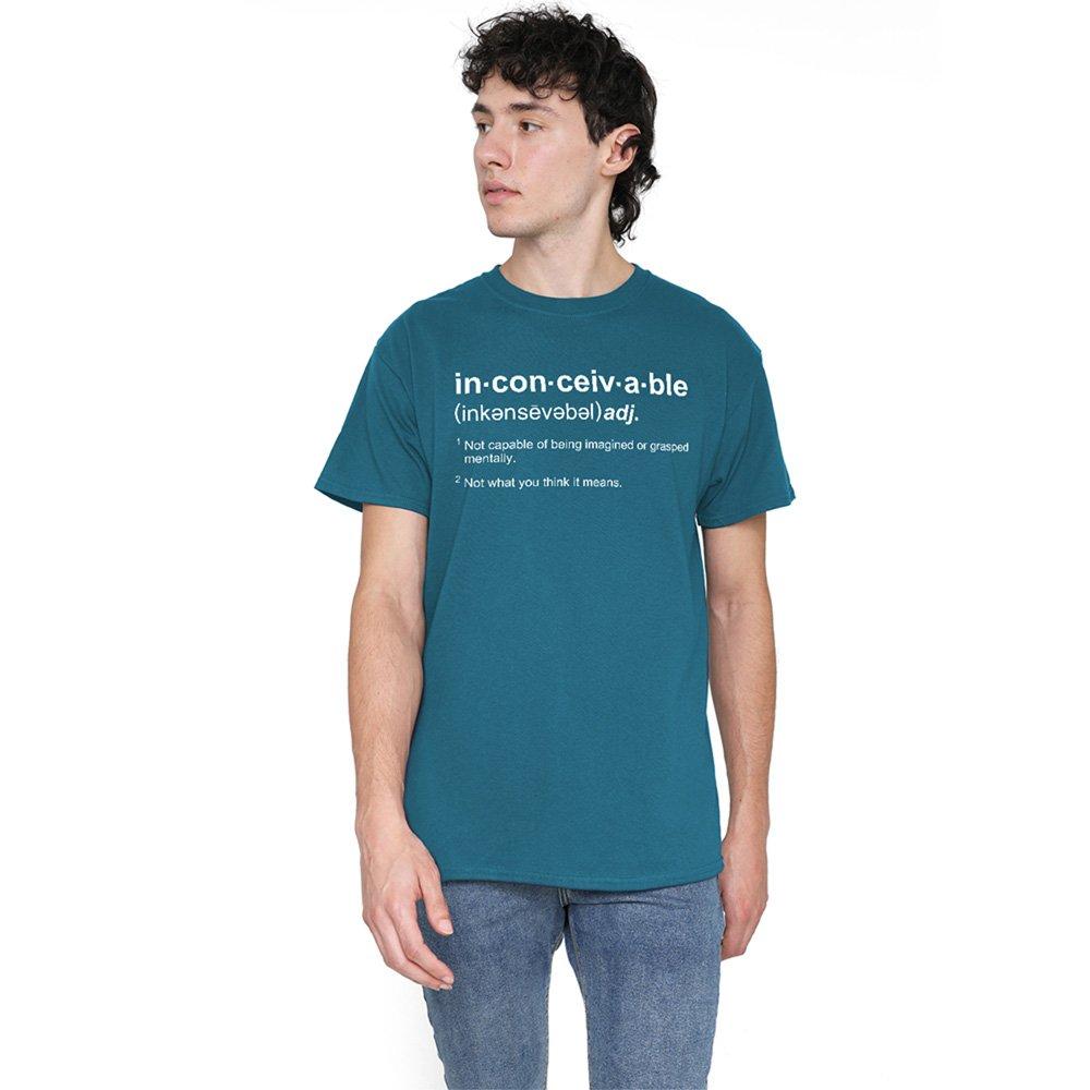 Grey - Other - Princess Bride Definition T Shirt Slate - 1