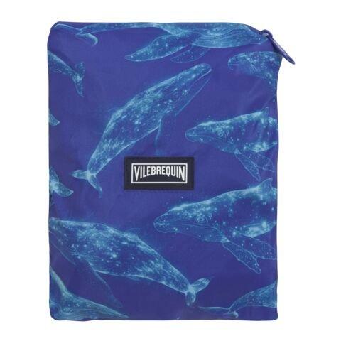 Versailles 620 - Vilebrequin - VQuin Mahina EJ308 Sn63 - 5