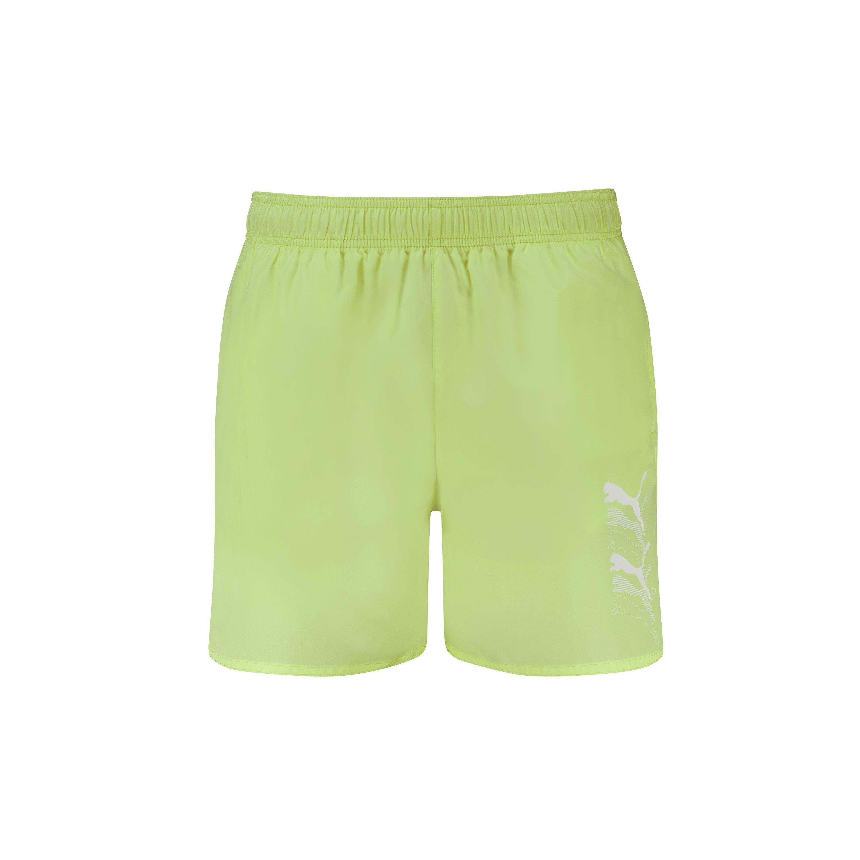 Puma Puma Swim Men Cats M Sn99
