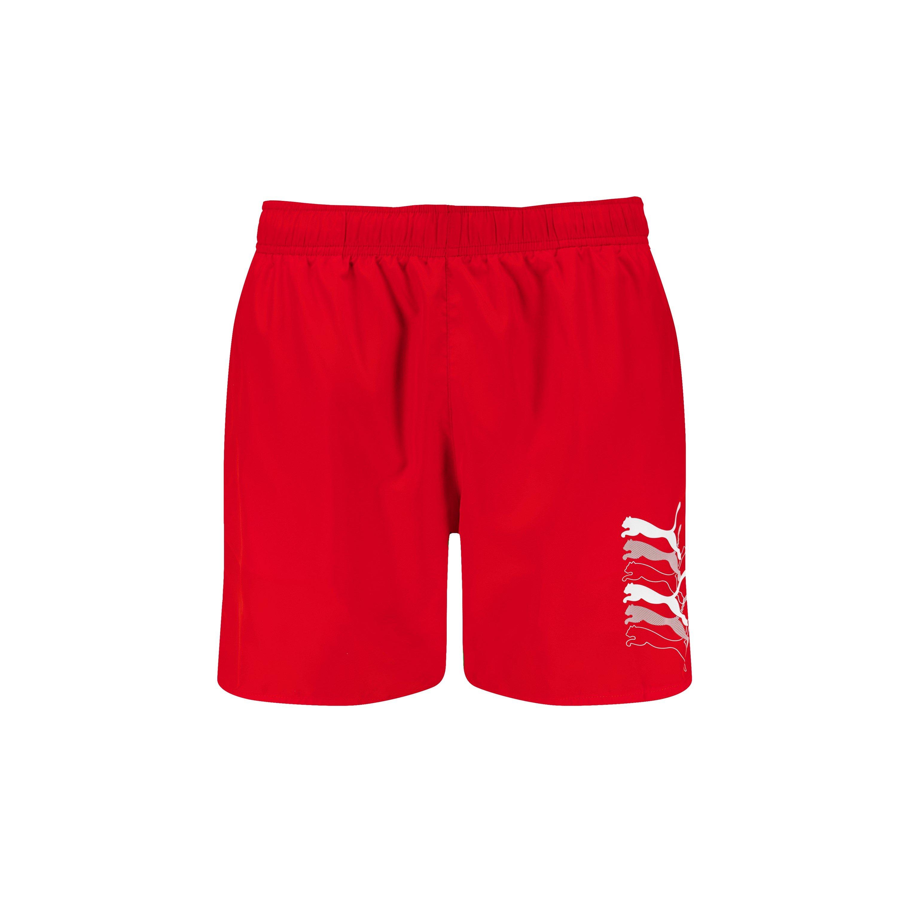 Puma Puma Swim Men Cats M Sn99