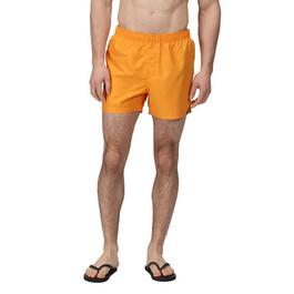 Regatta Allover Graphic Swim Boxers Mens