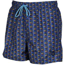 Arena Beach Shorts Allover