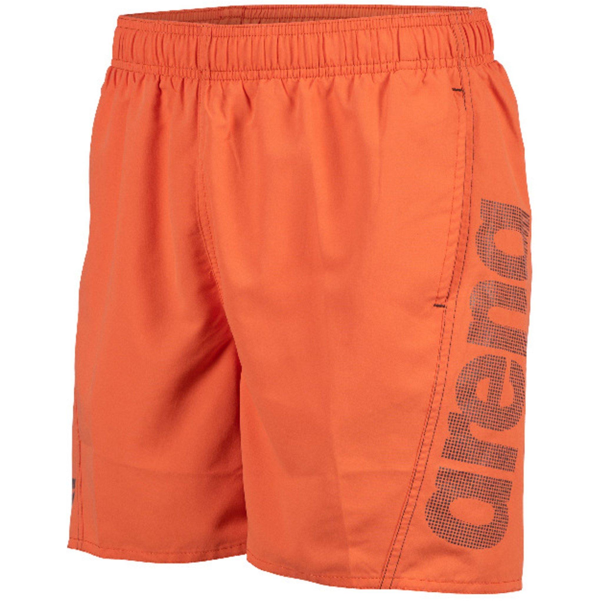 Arena Men's Fundatals Logo R Beach Boxer - Nespola Asphalt - Small