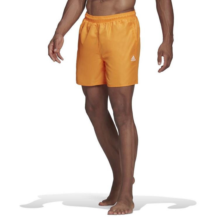 OraRus - adidas - Swim Shorts - 2