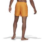OraRus - adidas - Swim Shorts - 3