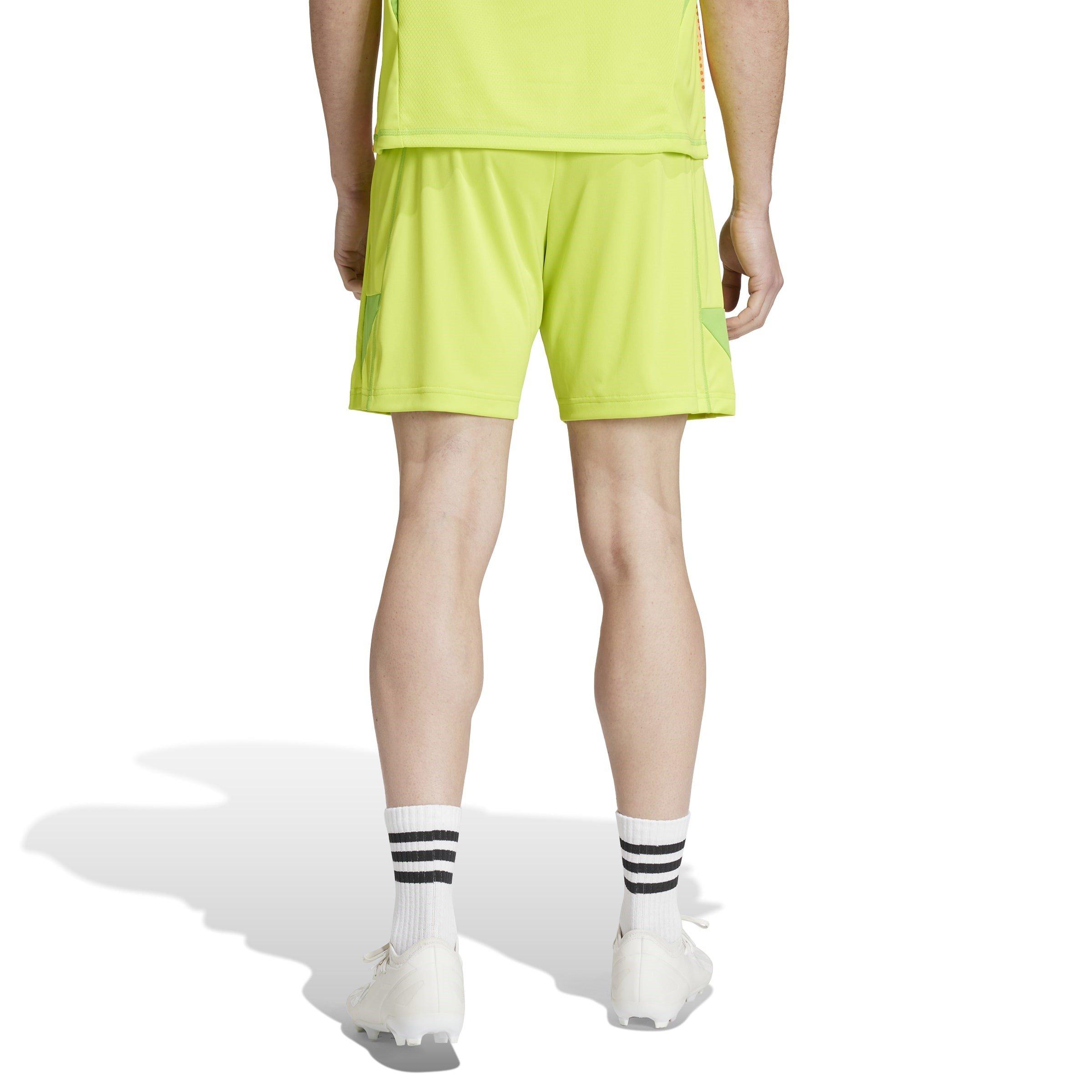 Giallo - adidas - Arsenal Goalkeeper Shorts 2024 2025 Adults - 3