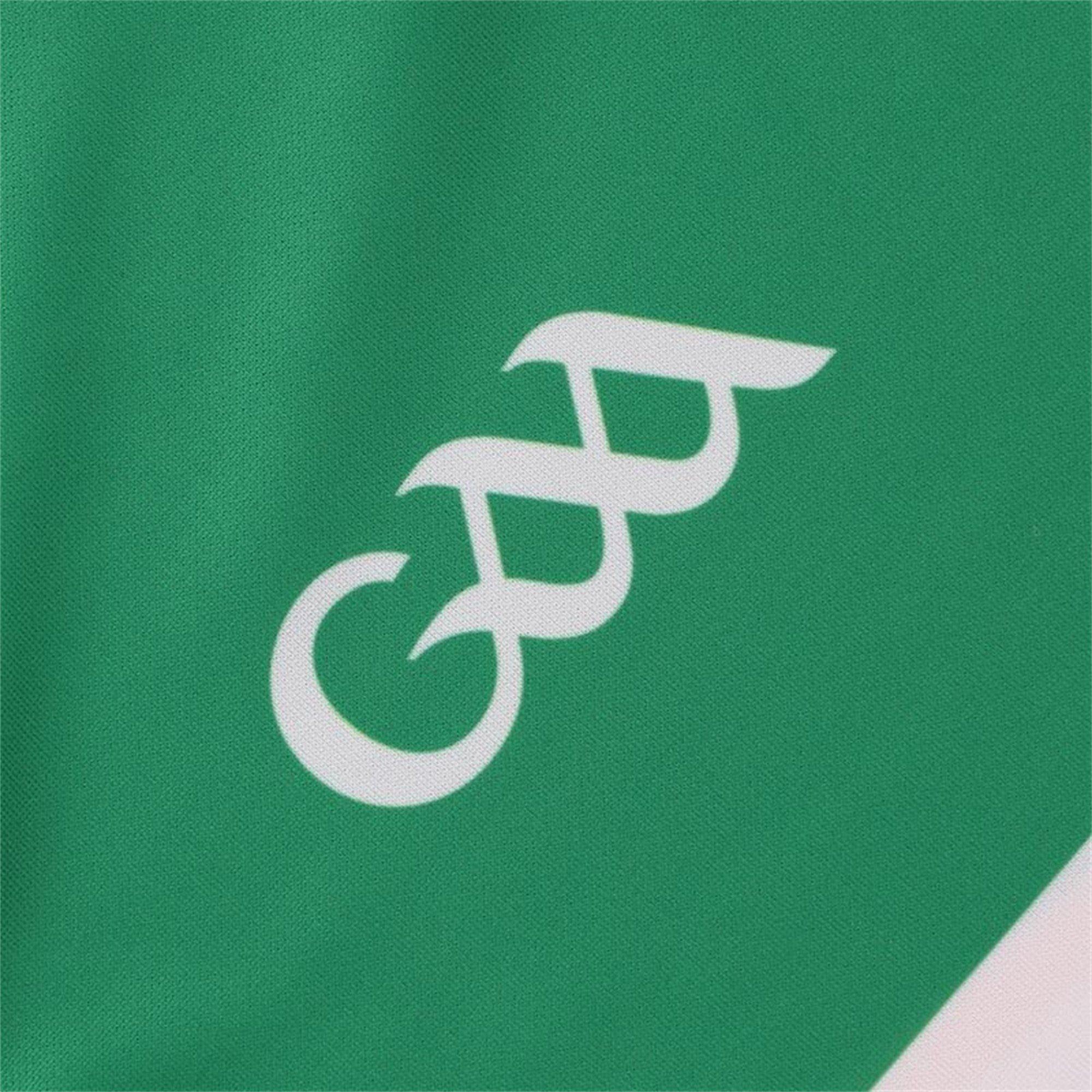 Green/Wht/Amber - ONeills - Offaly Home Jersey Senior - 6