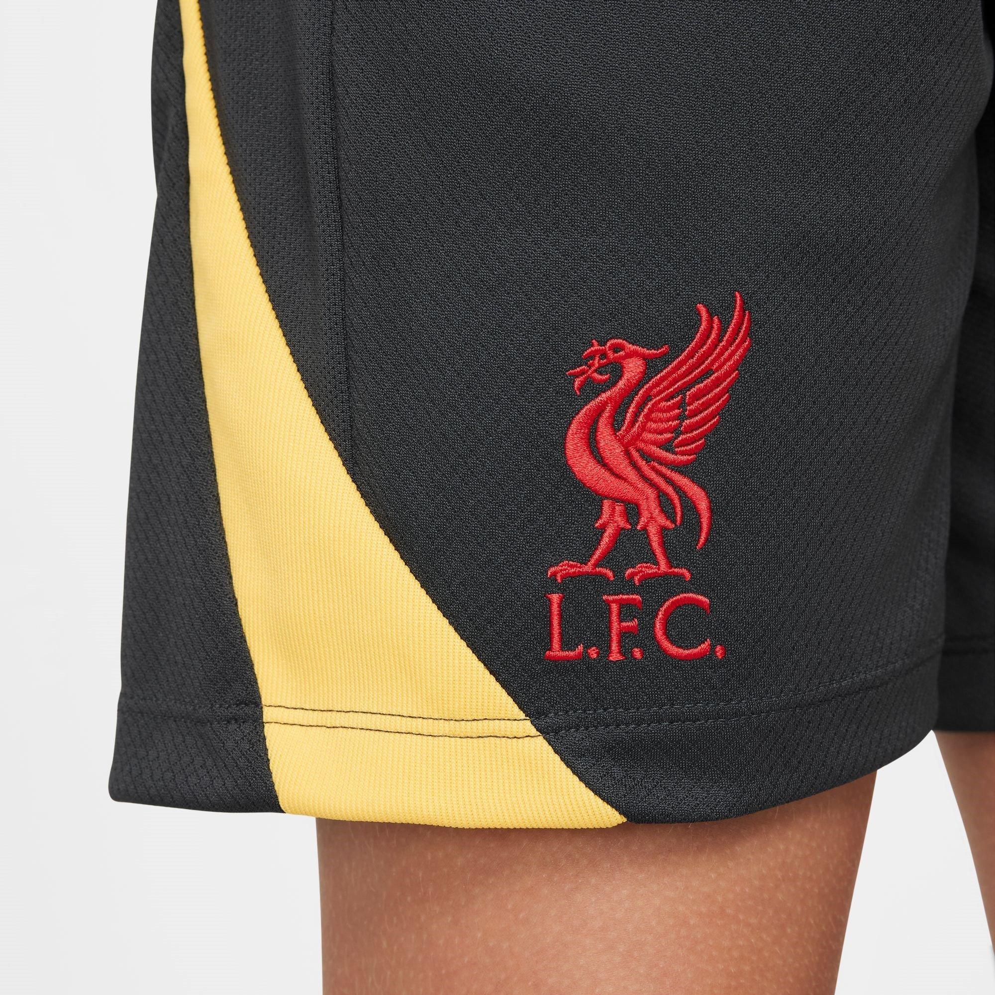 Grigio - Nike - Liverpool Strike Third Shorts 2024 2025 Juniors - 6