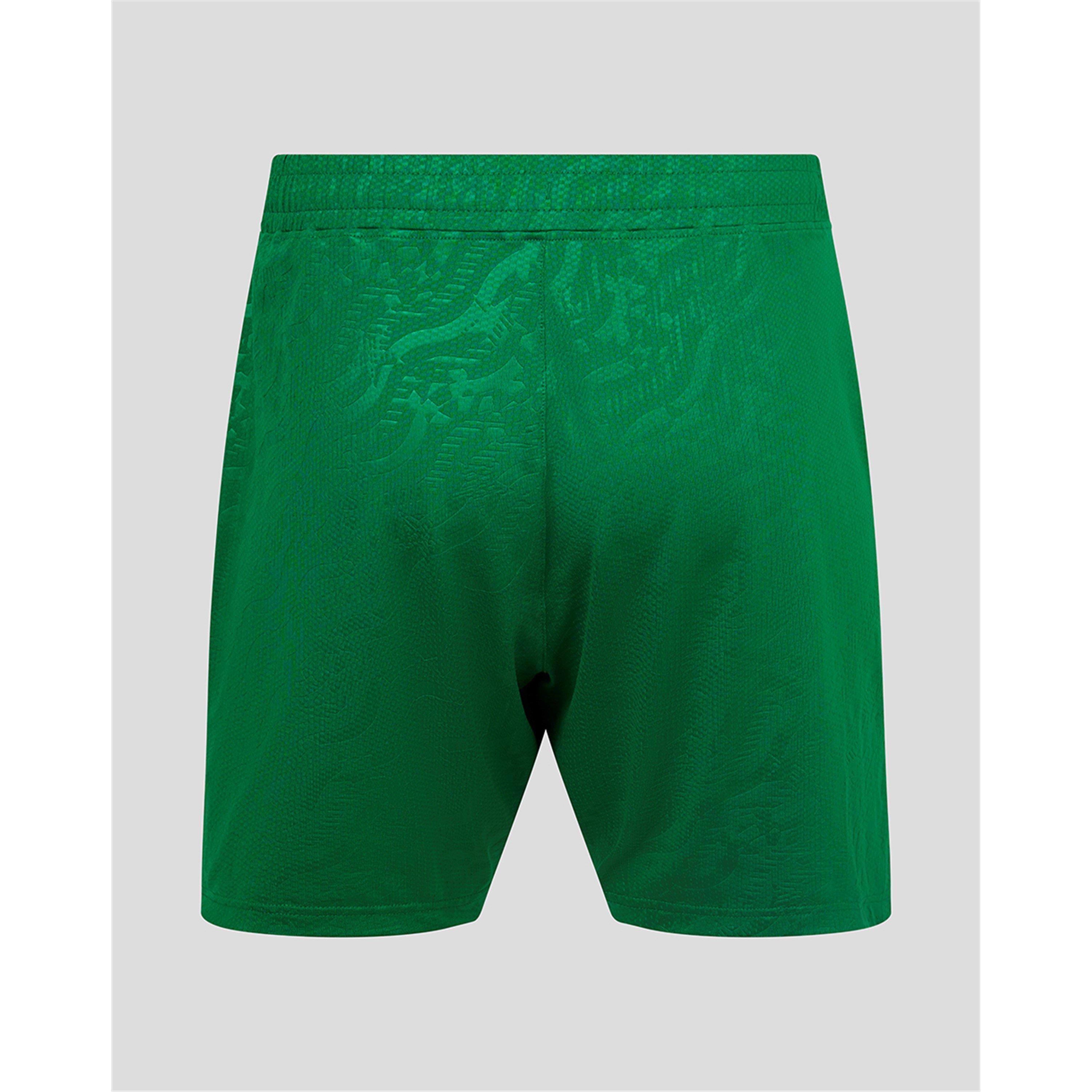 Grün - Castore - Ireland Third Short Mens 2025 - 2