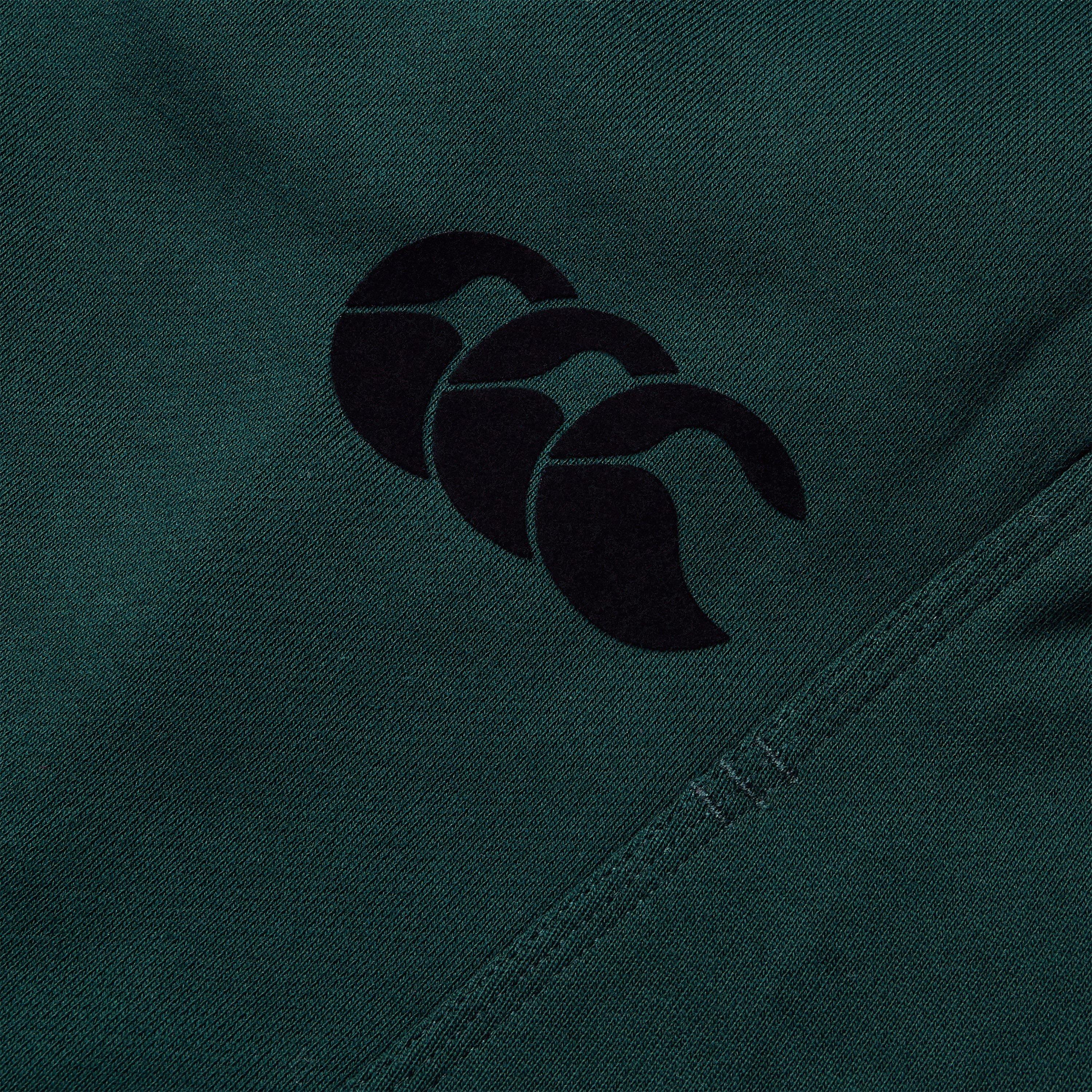 Escarabajo - Canterbury - British & Irish Lions Stealth Shorts 2025 Mens - 8