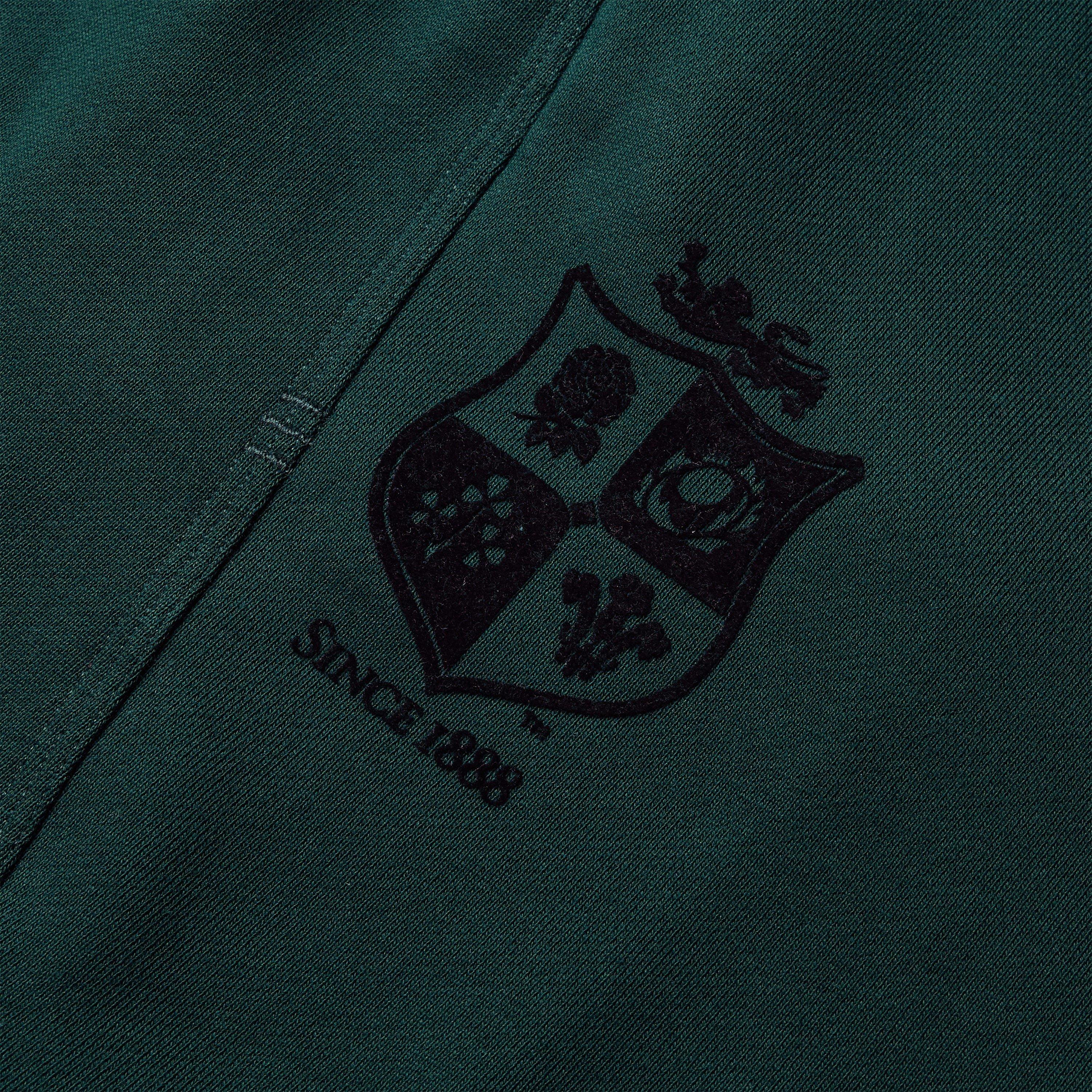 Escarabajo - Canterbury - British & Irish Lions Stealth Shorts 2025 Mens - 9