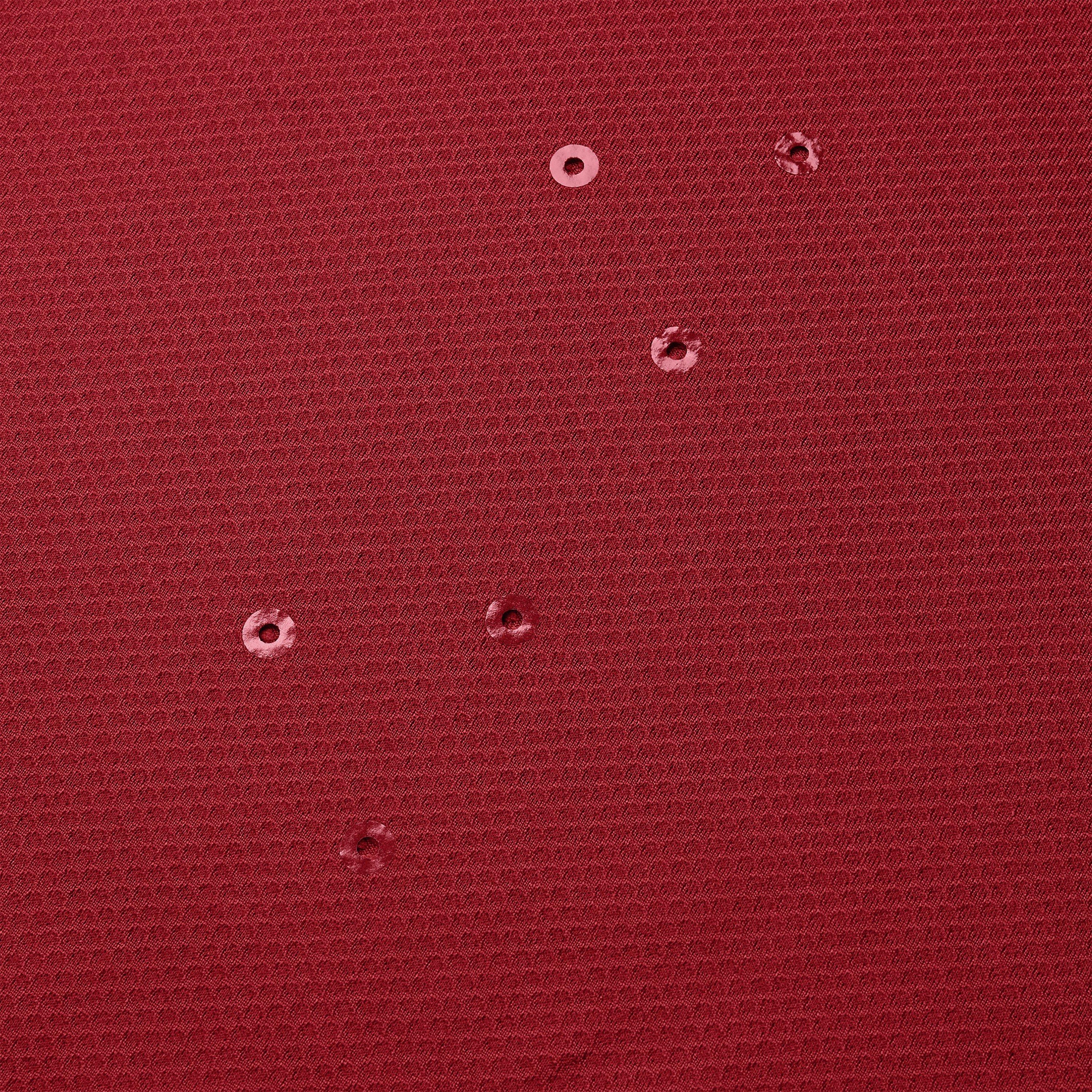 Red Dahlia - Canterbury - British and Irish Lions Everest T-Shirt 2025 Adults - 9