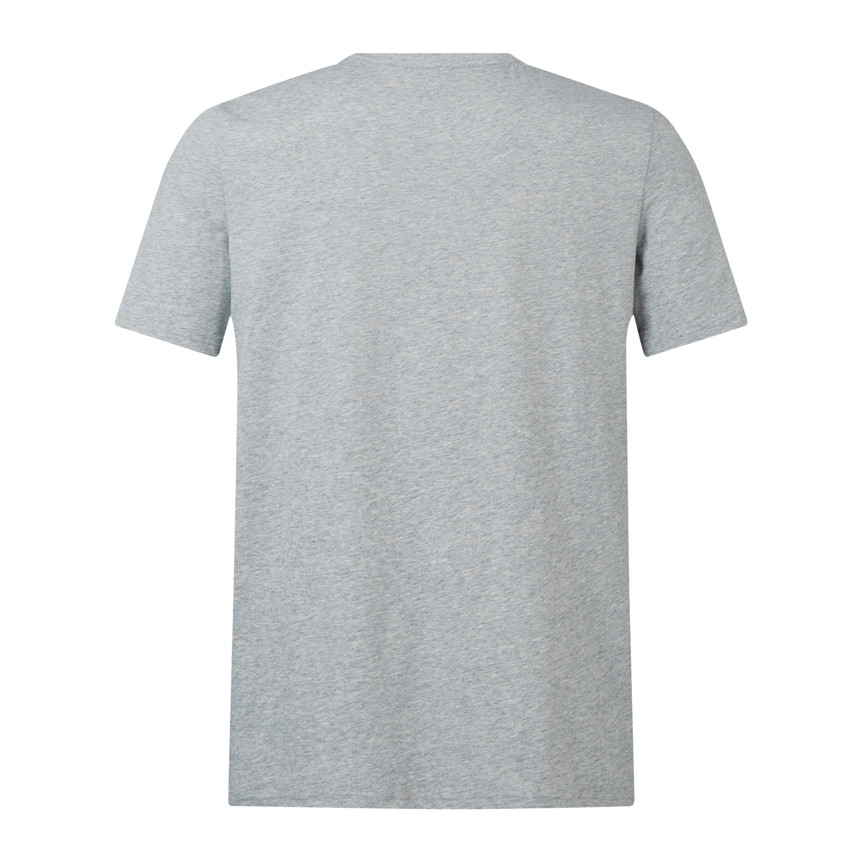 Grau meliert - Canterbury - British and Irish Lions Monument T-Shirt 2024 Adults - 2