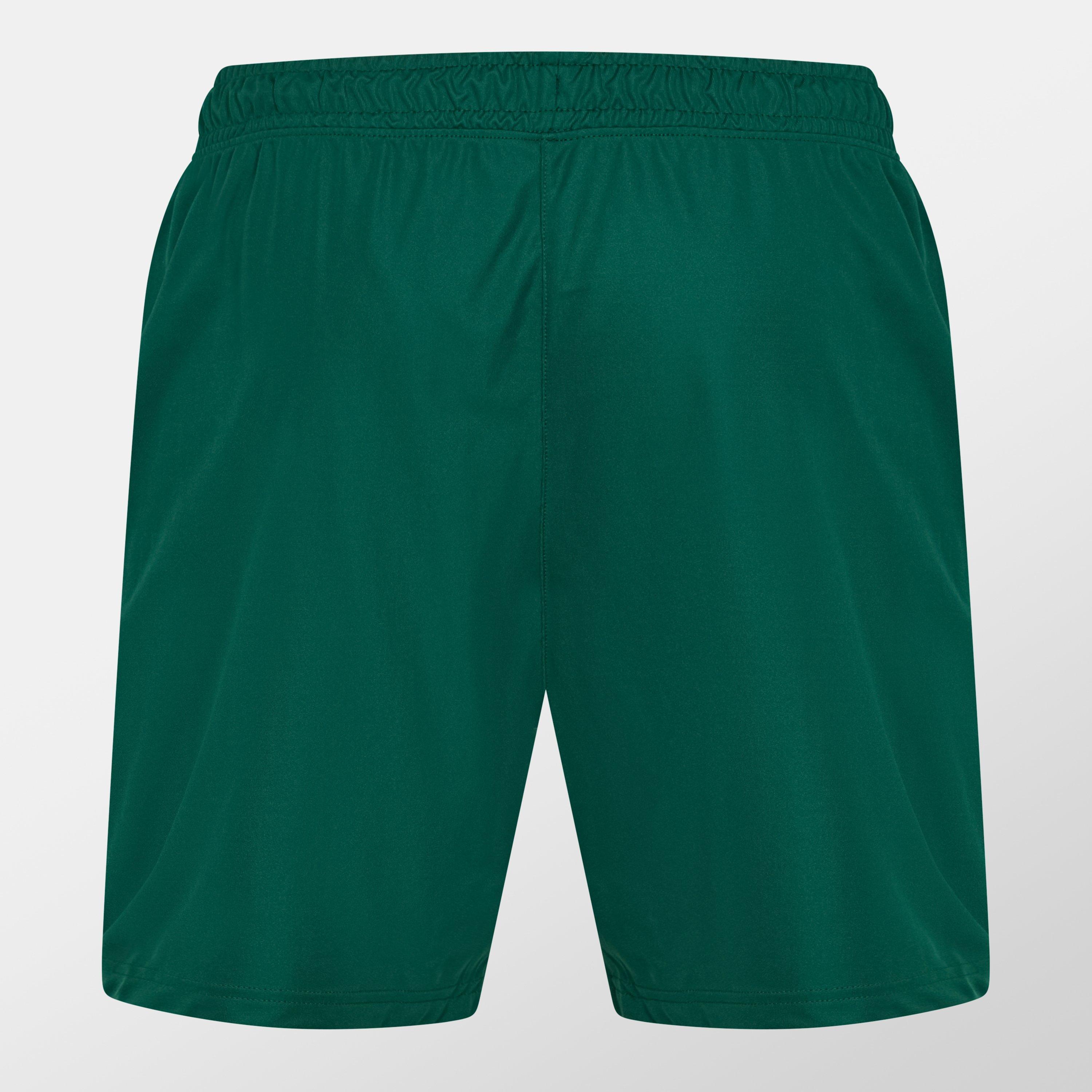 Verde - Castore - Ireland Training Shorts 2024 Mens - 2