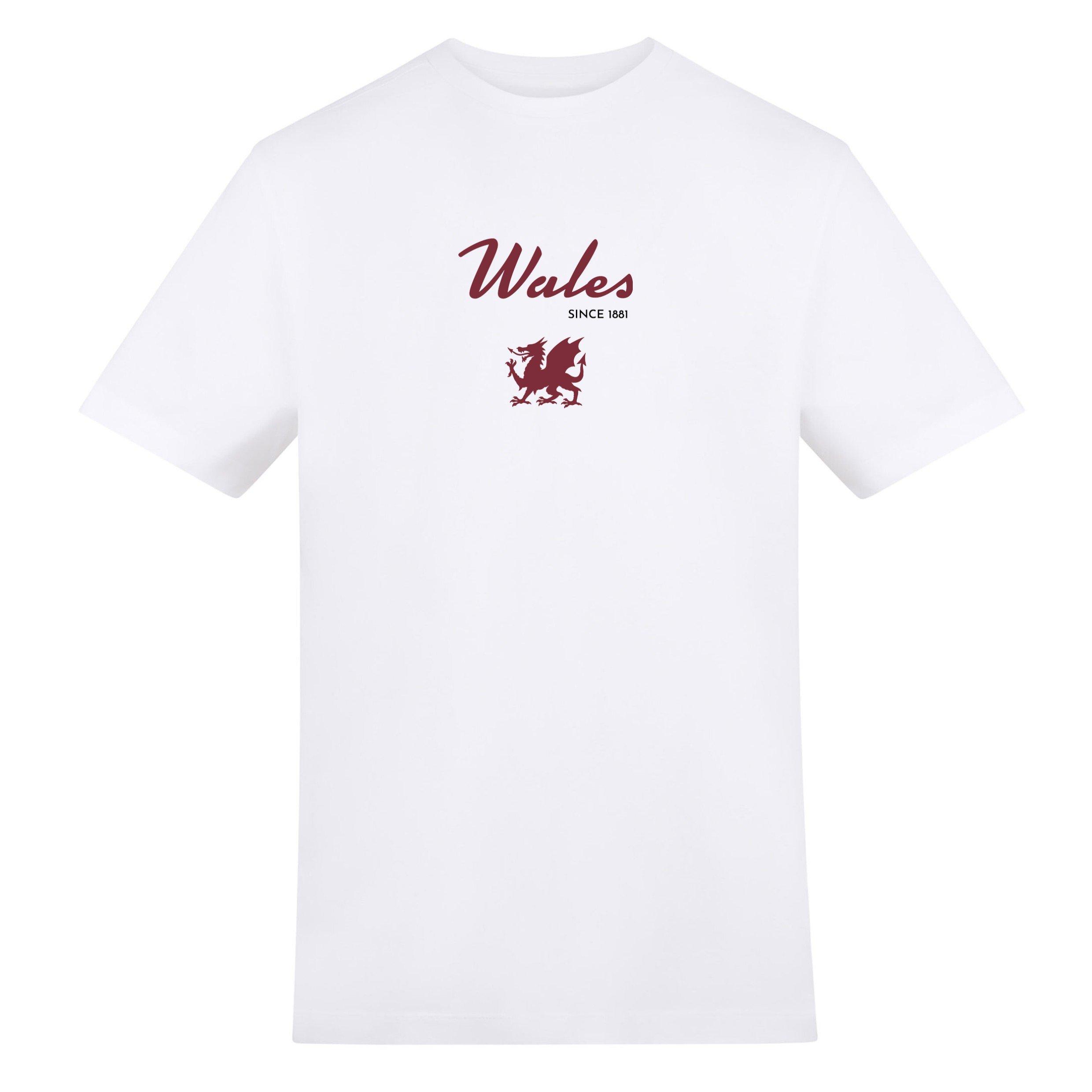 Adults Printed Wales Rugby Fan Tee