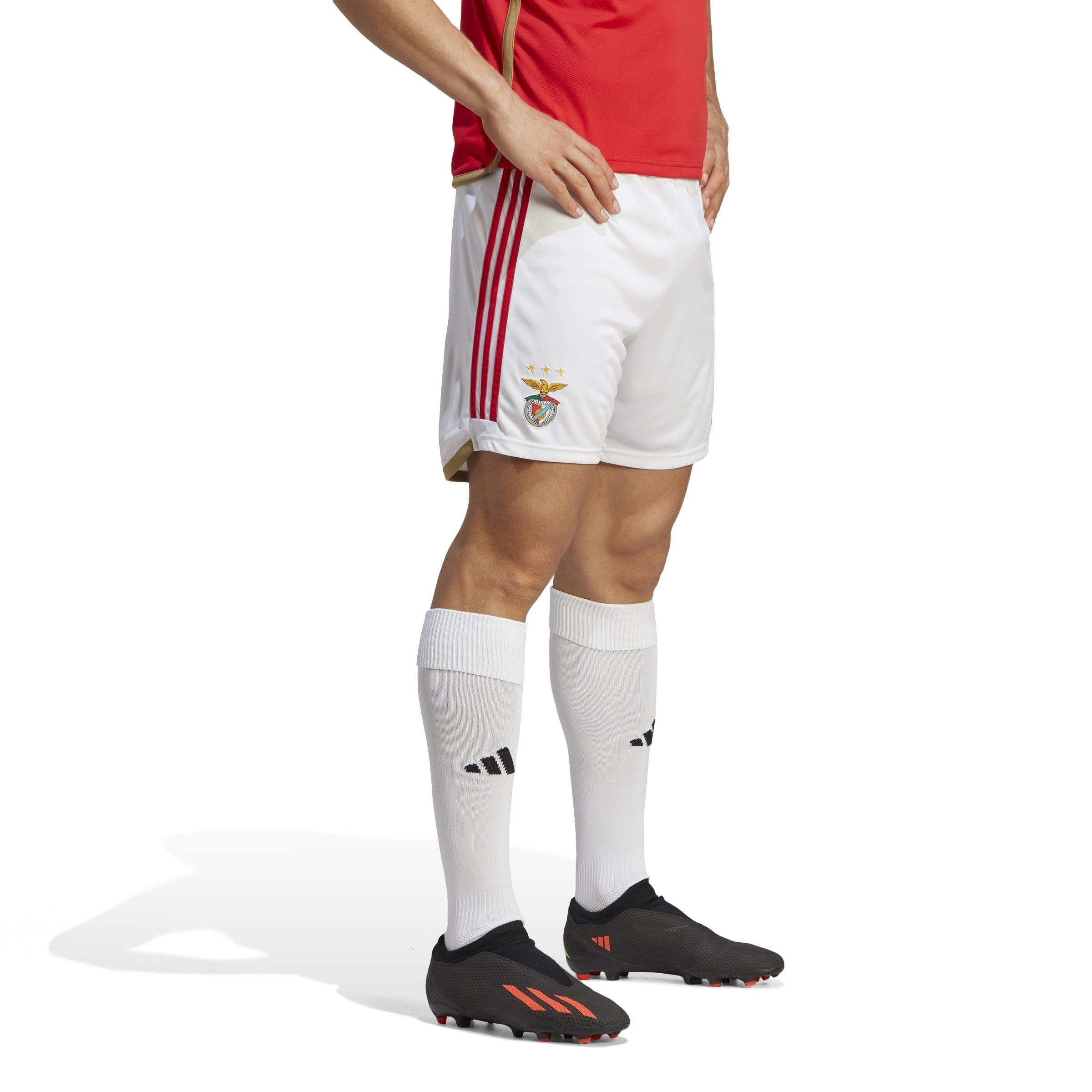 Weiß - adidas - Benfica Home Shorts 2023 2024 Adults - 2