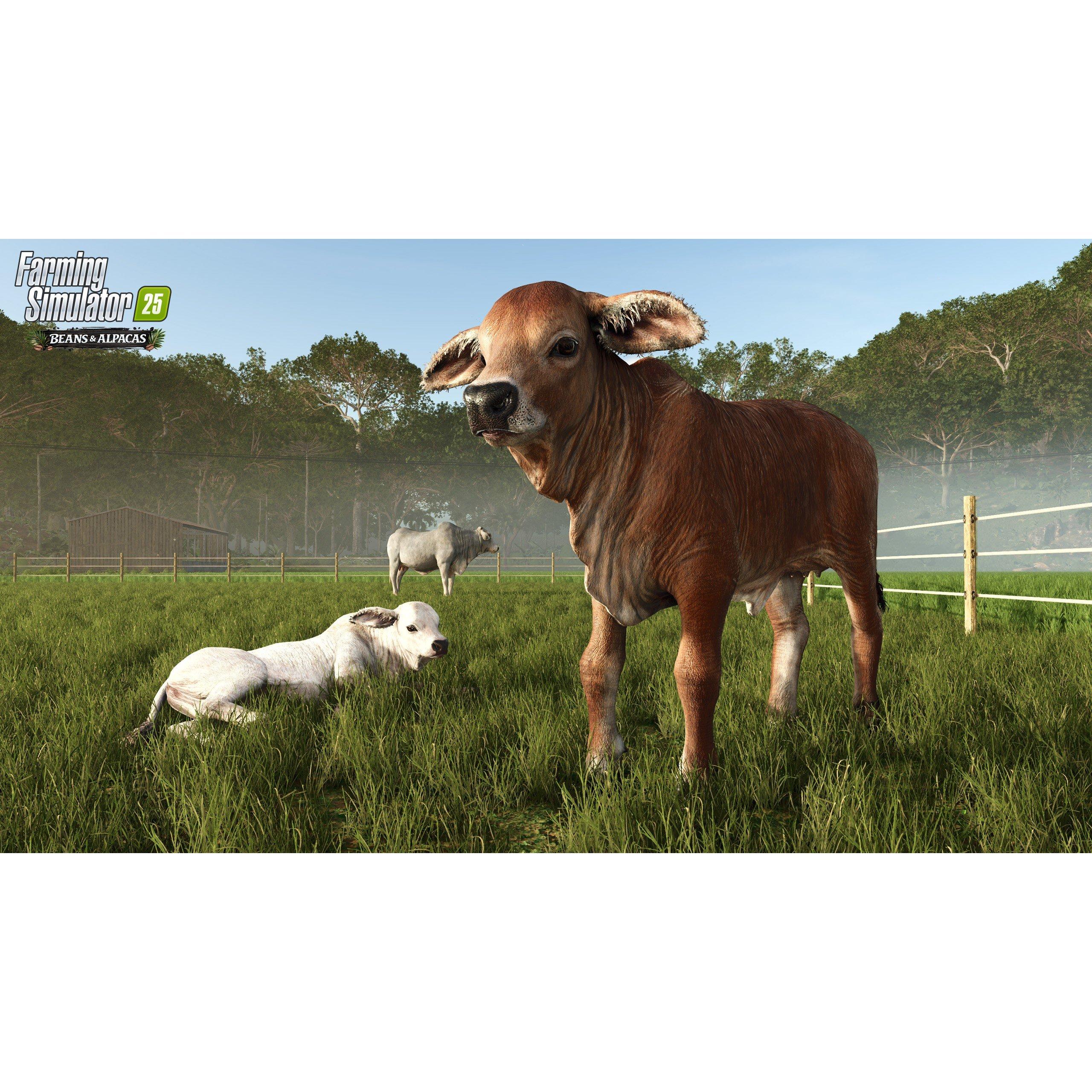 XBS - GIANTS Software - Farming Simulator 25: Beans & Alpacas Edition - 4