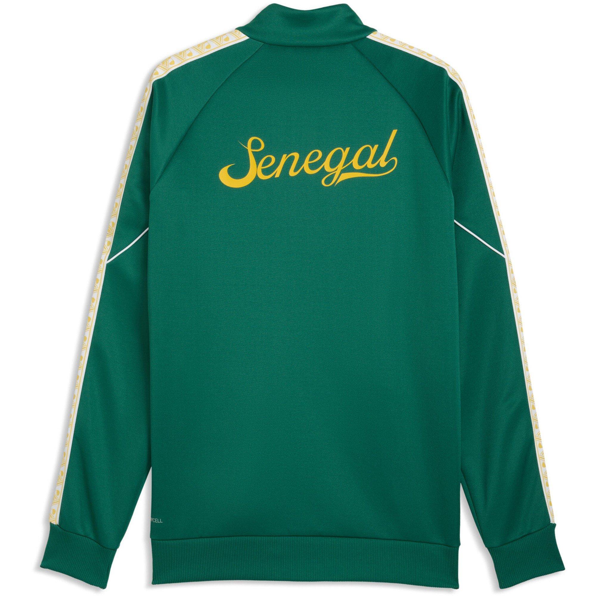 Groen/Geel - Puma - Men's Senegal Tracksuit Top - 2