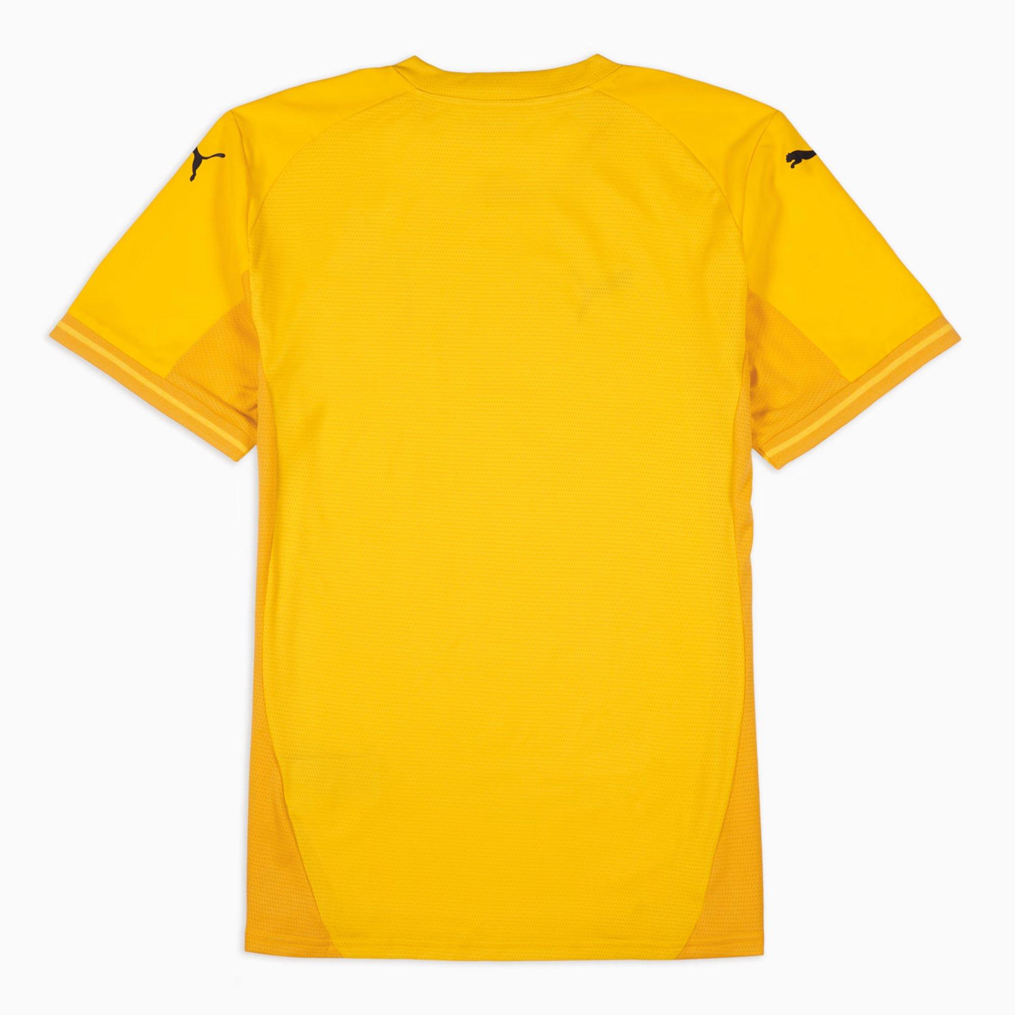 Cyber Yellow - Puma - FAM Harimau Malaya Pre-Match Training Jersey - 2