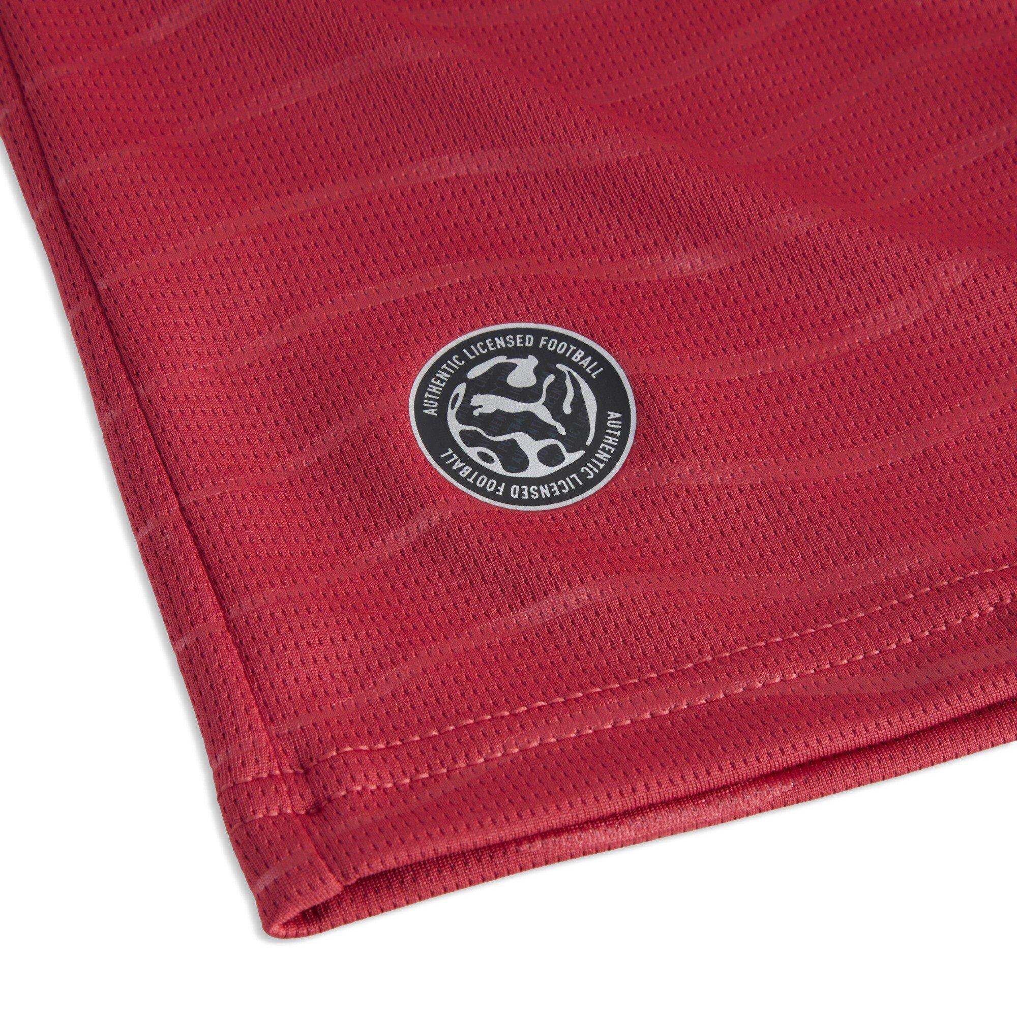 Club Red/Green - Puma - FPF H Jsy Sn62 - 3