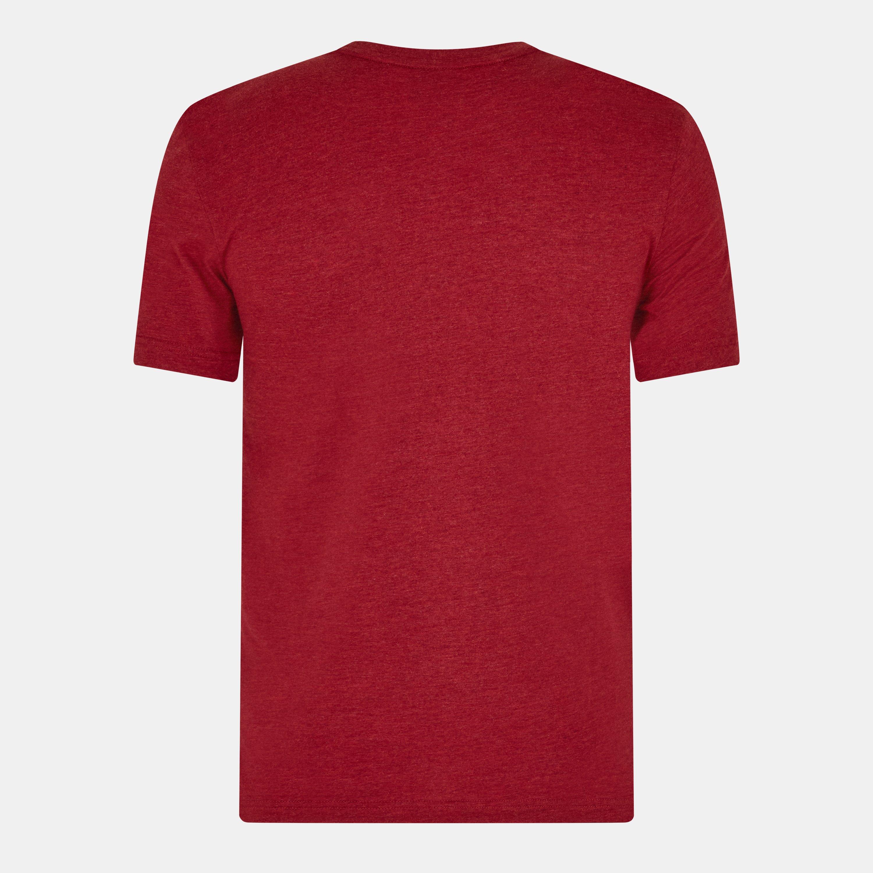 Red Dahlia - Canterbury - British & Irish Lions Monument T-Shirt 2025 Adults - 2