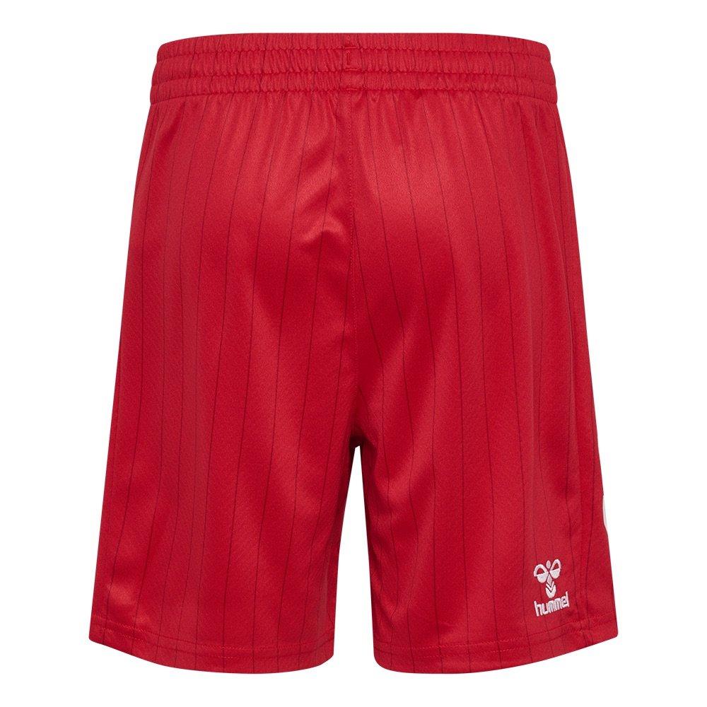 Rouge/Blanc - Hummel - Kids Denmark International Football Shorts - 2