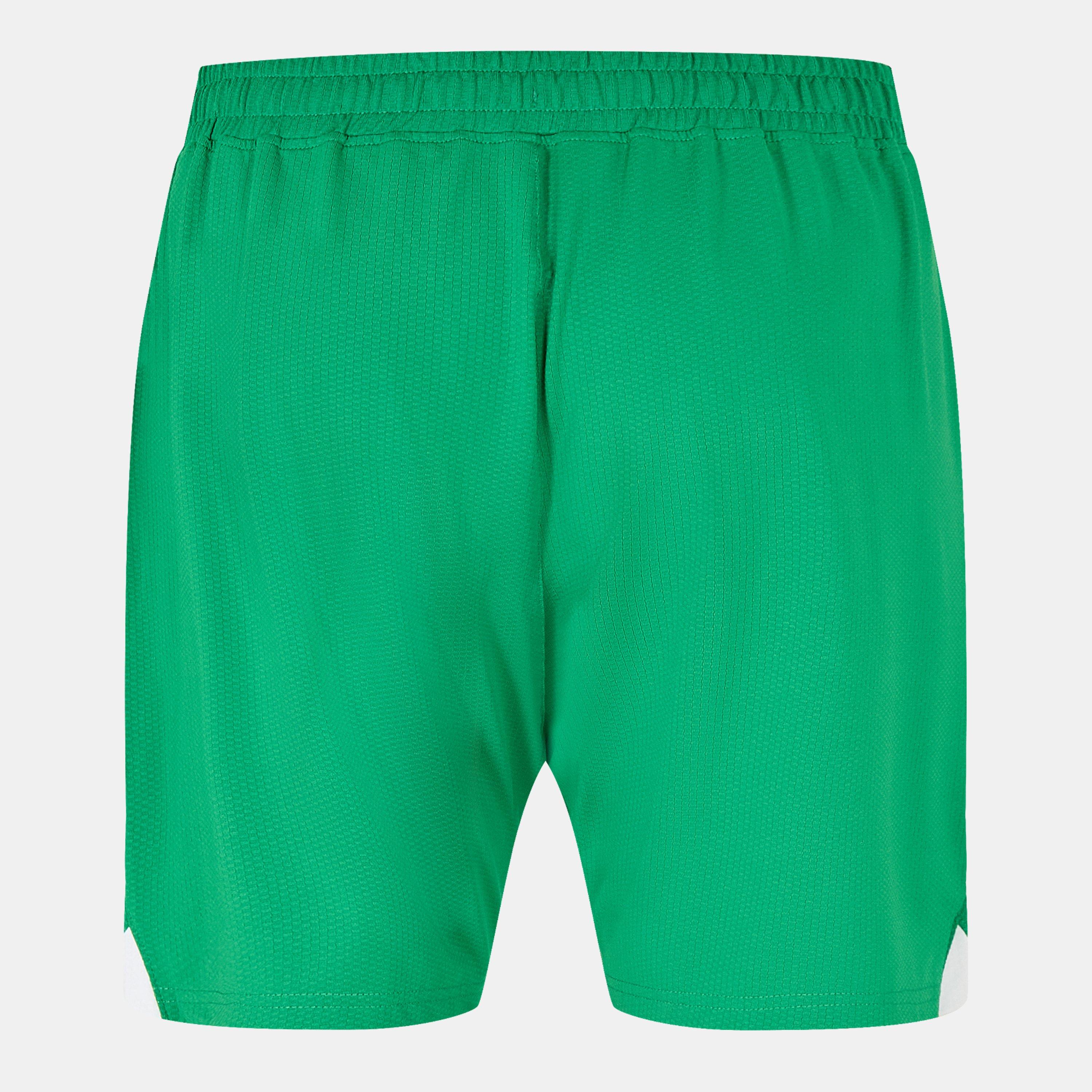 Grøn - Castore - Ireland Home Shorts 2024 Adults - 2