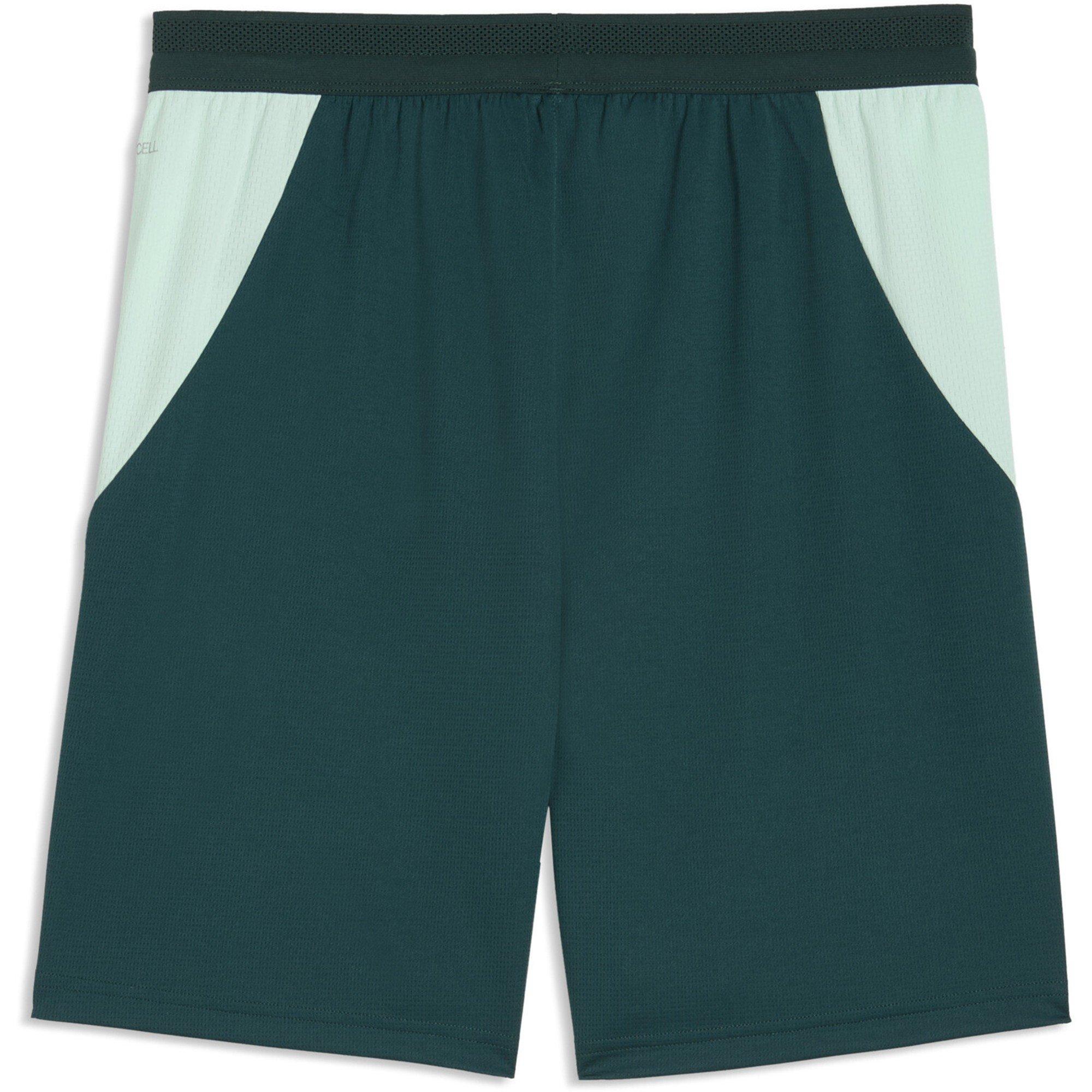Grün/Mint - Puma - Men's Austria FIFA World Cup 2026™ Football Shorts - 2