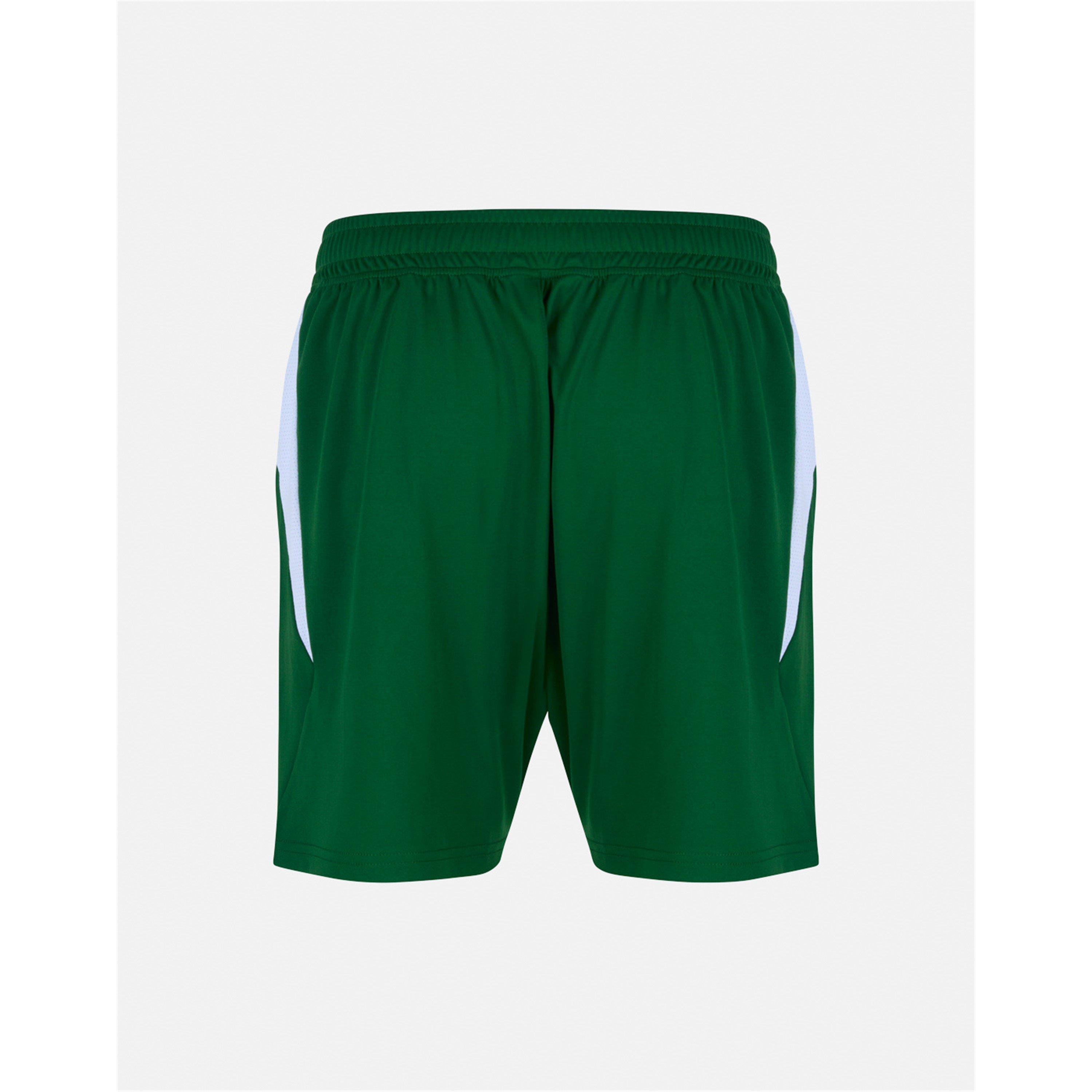 Grün/Weiß - Castore - Castore Ireland Home Short Senior - 2
