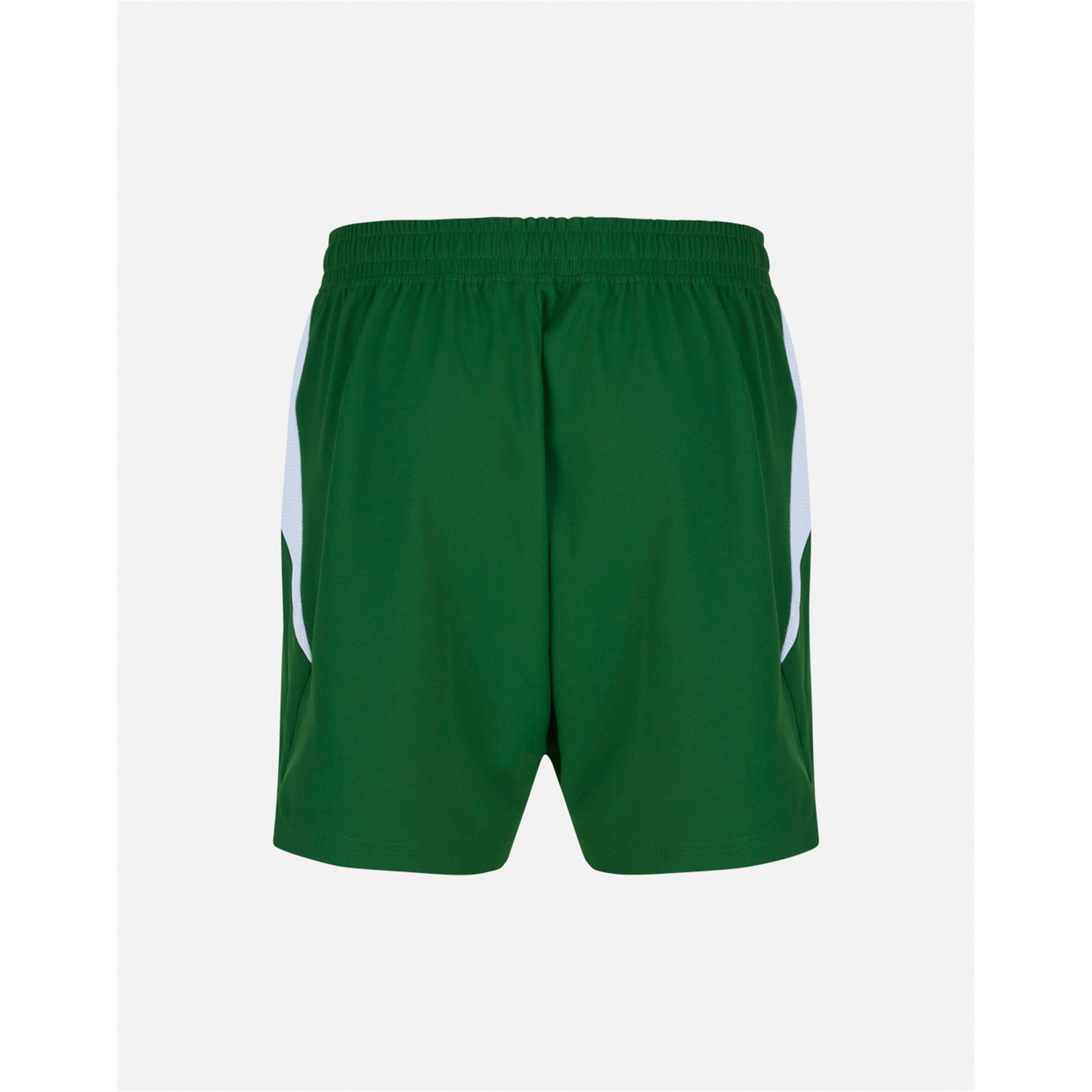 Grün/Weiß - Castore - Castore Ireland Home Short Junior - 2