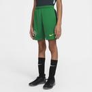 Vert - Nike - Nigeria Home Shorts 2020 Junior - 3