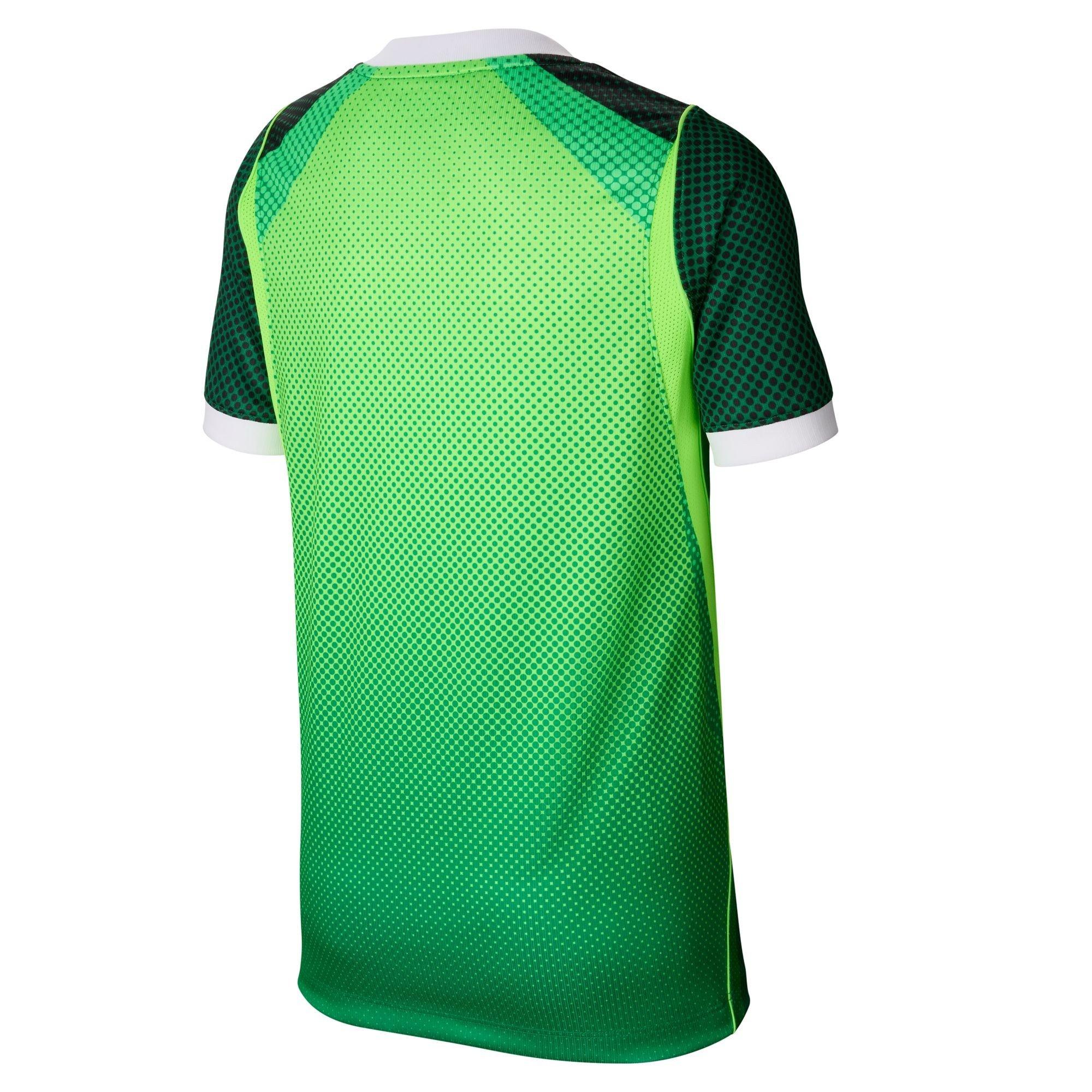 Vert/Blanc - Nike - Kids' Nigeria FIFA World Cup 2026™ Football Shirt - 2