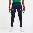 Nigeria Strike Men's  Dri-FIT Soccer Santosha pants