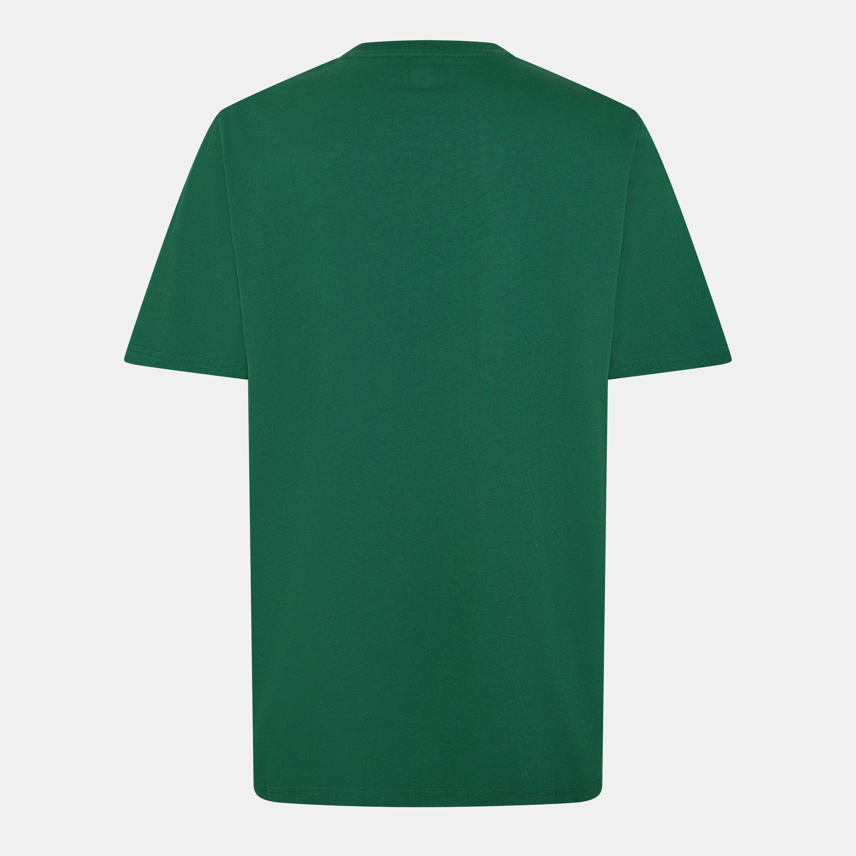 Jolly Green - Castore - Ireland Crest T-Shirt Mens - 2