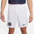 Paris Saint-Germain 2023/24 Stadium Home/Away Men's  Dri-FIT Soccer Shorts