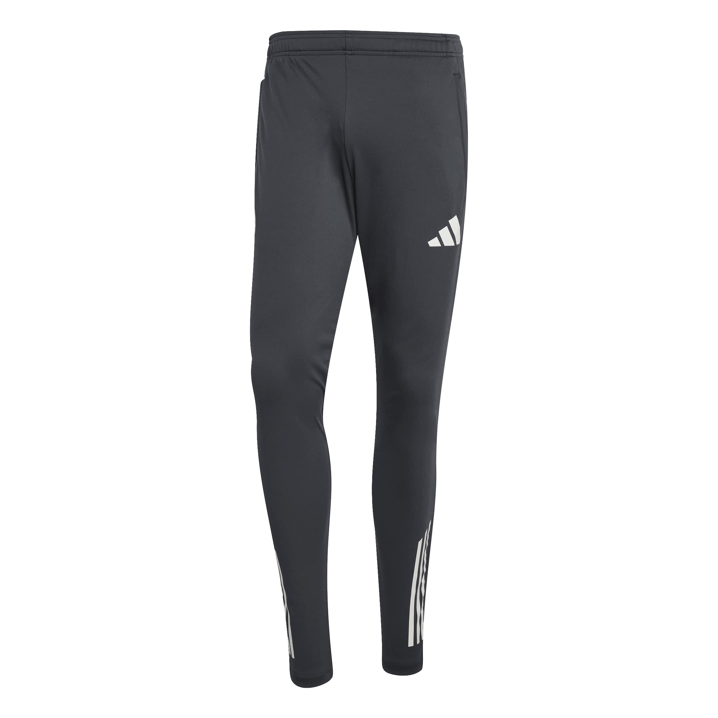 Dkgrey/Tecobu - adidas - Adidas AFC Eu Tr Pnt Sn99 - 1