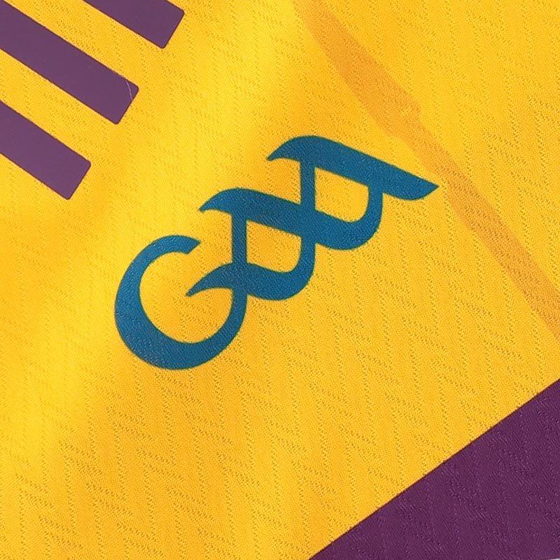 Purple/Amber - ONeills - Wexford Home Jersey Junior - 4