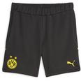 Borussia Dortmund Shorts 2023 2024 Adults