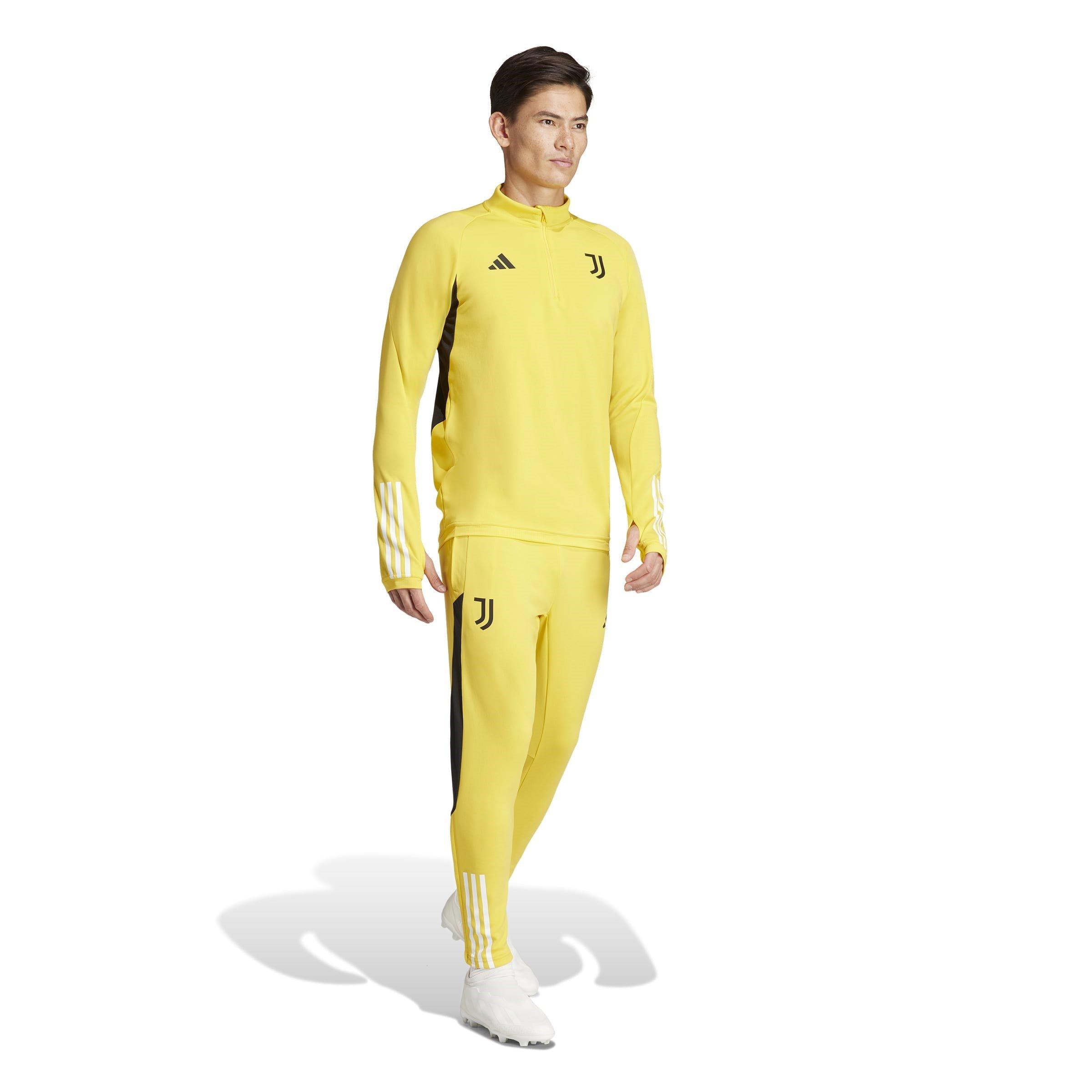 Ouro ousado - adidas - Juventus Training Tracksuit Bottoms 2023 2024 Adults - 7