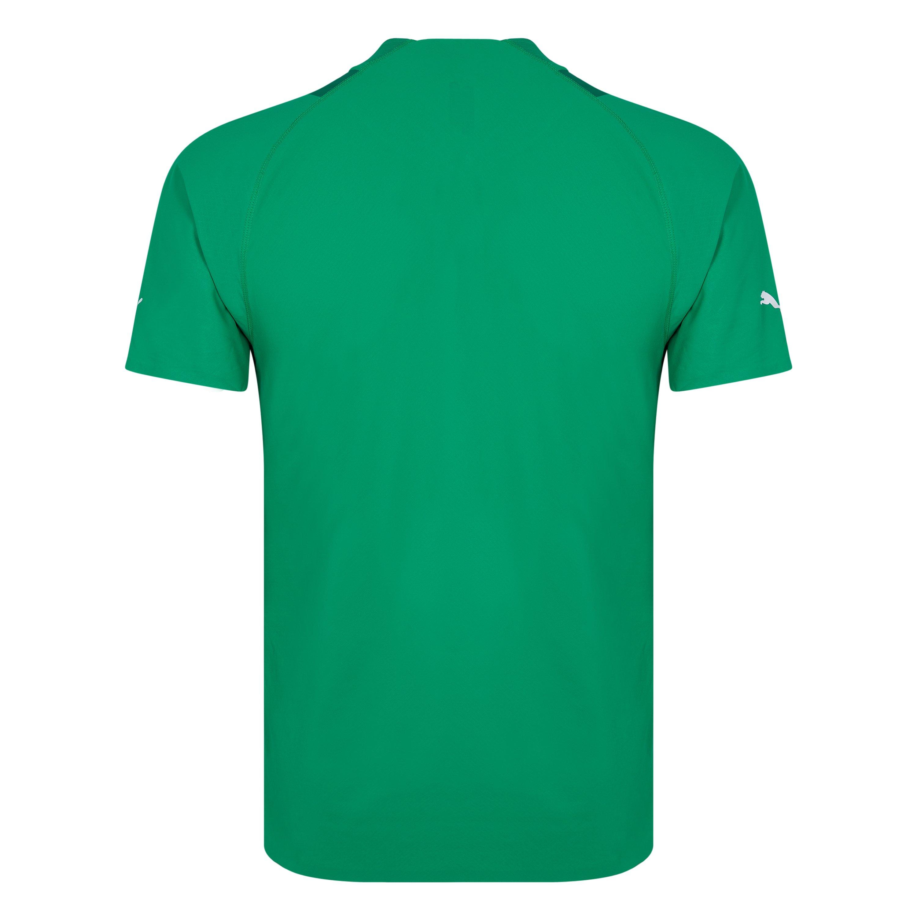 Ppr Grn/Alp Grn - Puma - Borussia Mönchengladbach Away Jersey Promo w/o Sponsor - 2