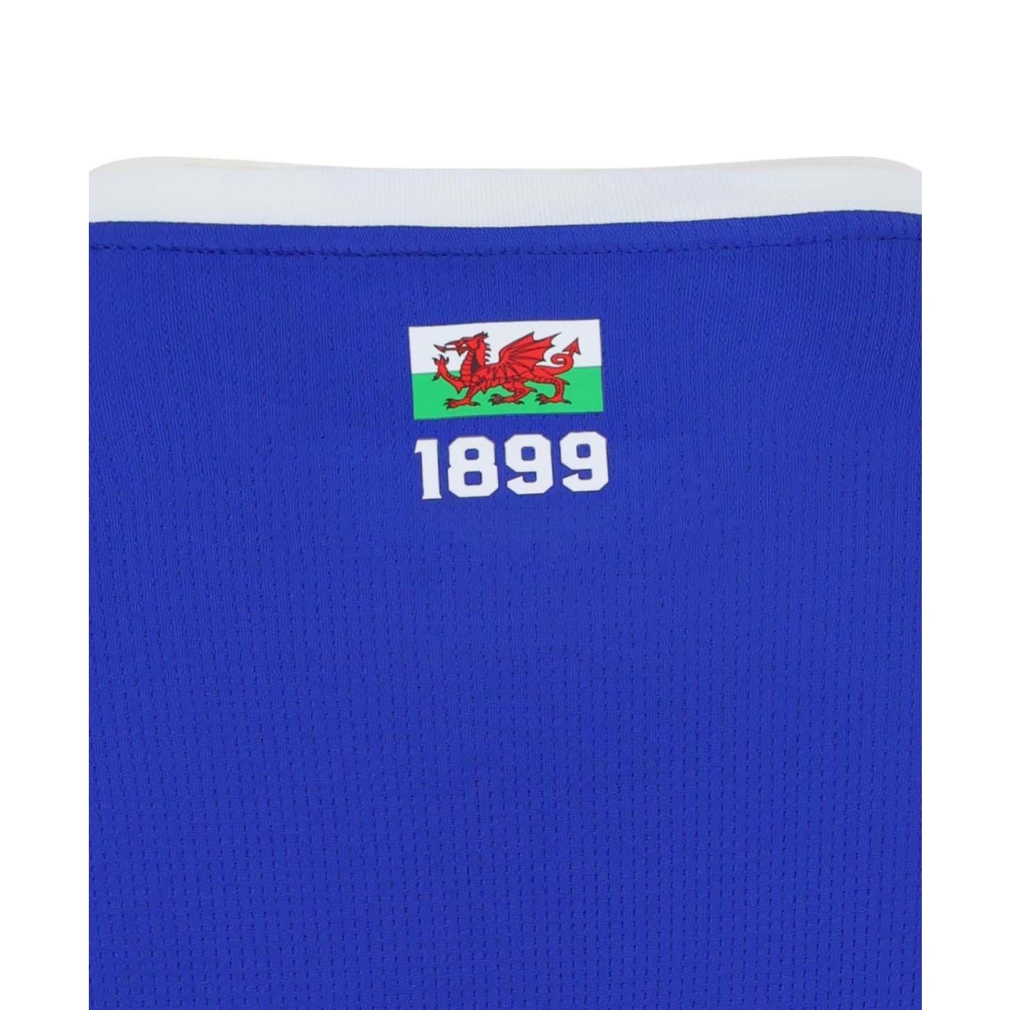 Blue/White - Castore - Kids Cardiff City Home Shirt 2026/27 Juniors - 3